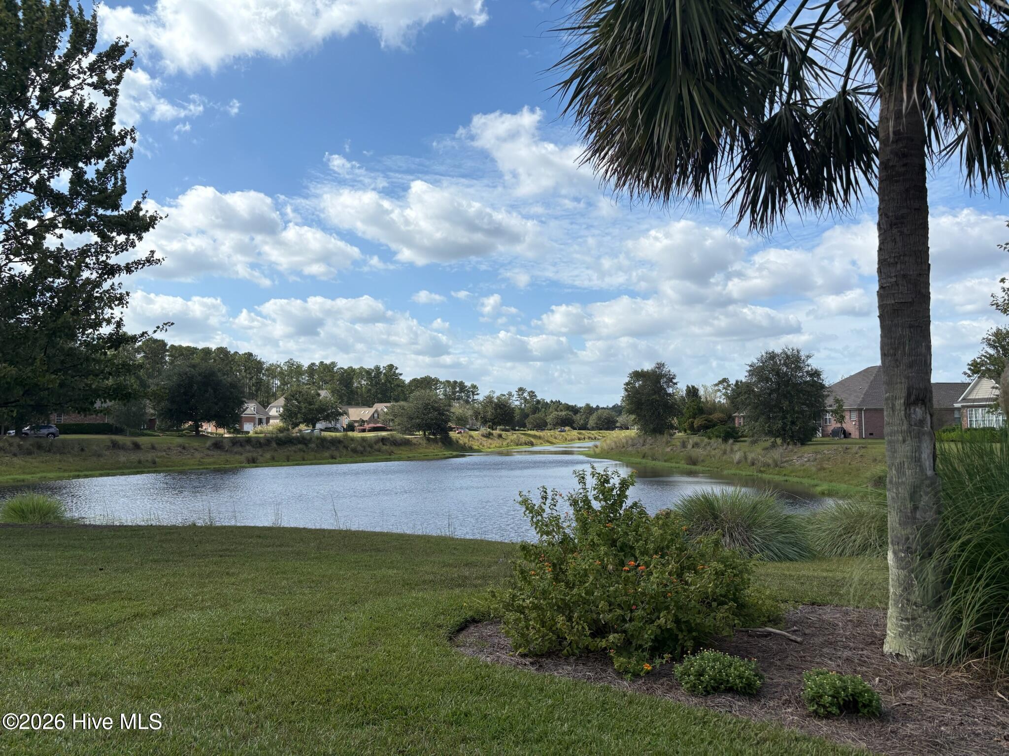 100558874 | Photo 42