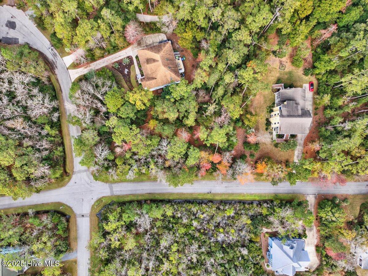 100545005 | Photo 13