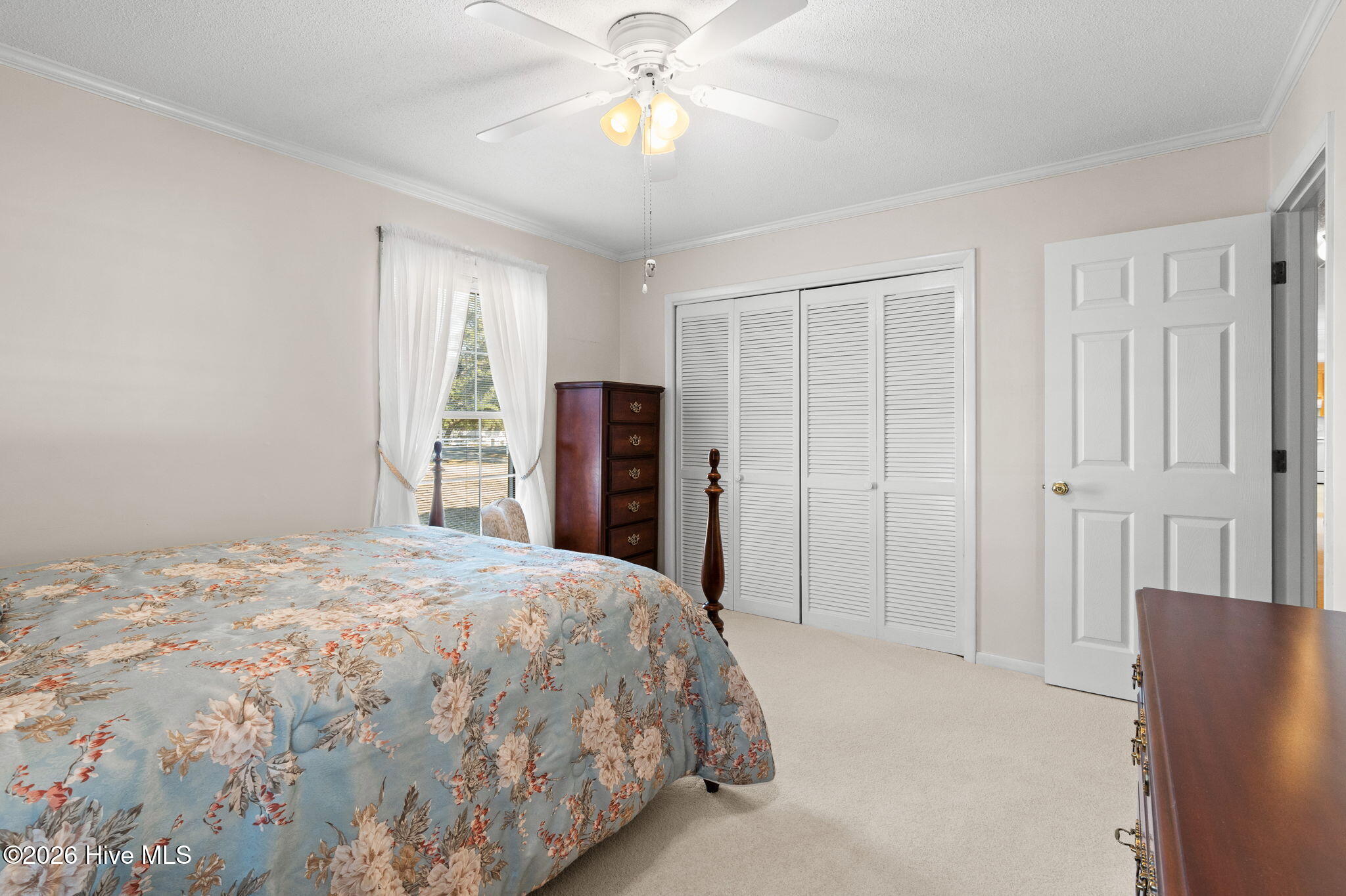 100554530 | Photo 27