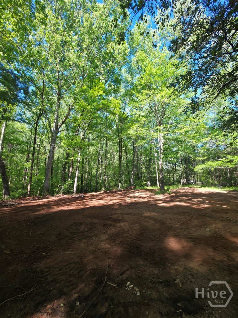 866 Smithonia Road, Winterville, GA, 30683