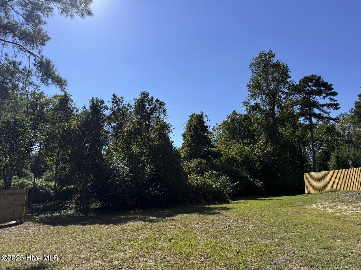 100537116 | Photo 33