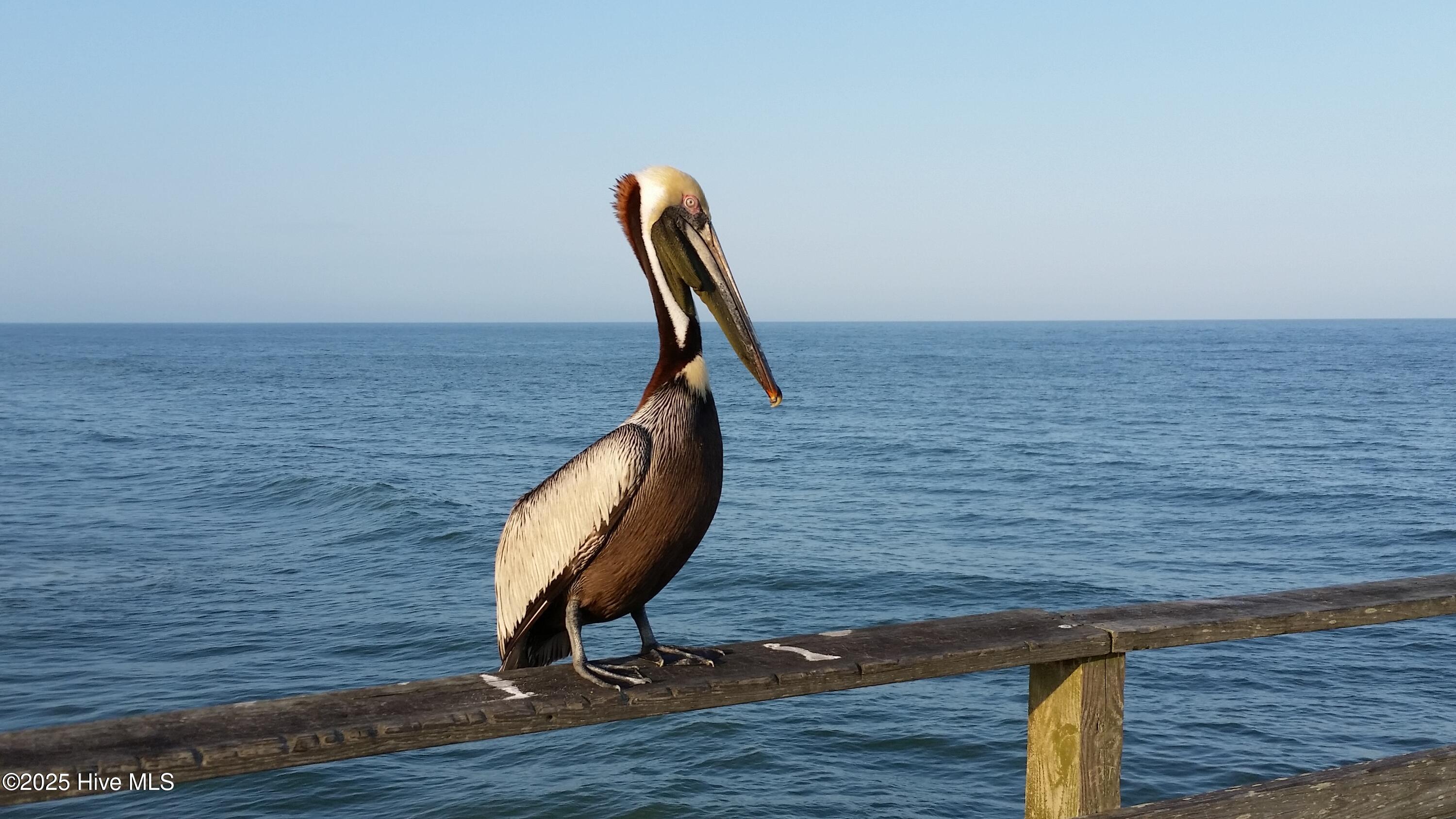 100535524 | Photo 33