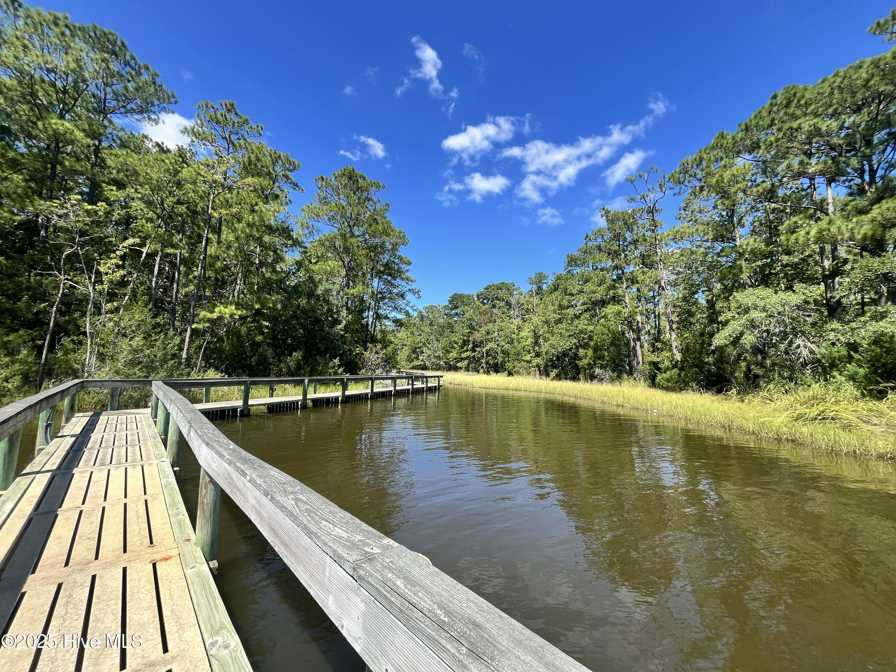 Homes for sale in Arapahoe, NC | 177 Carolina Way, Arapahoe, NC 28510 | MLS# 100540736