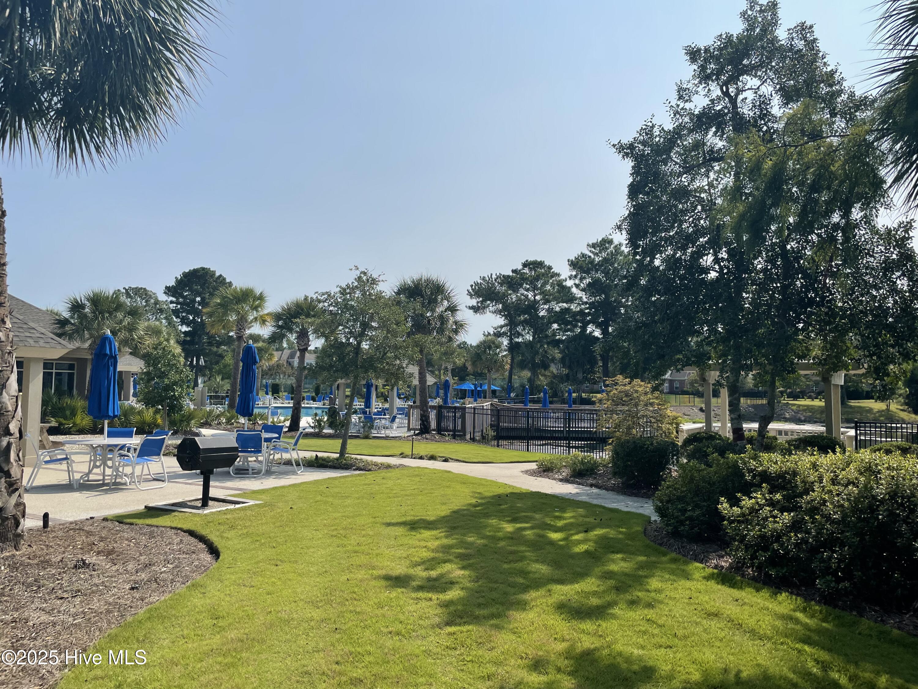 100535252 | Photo 11