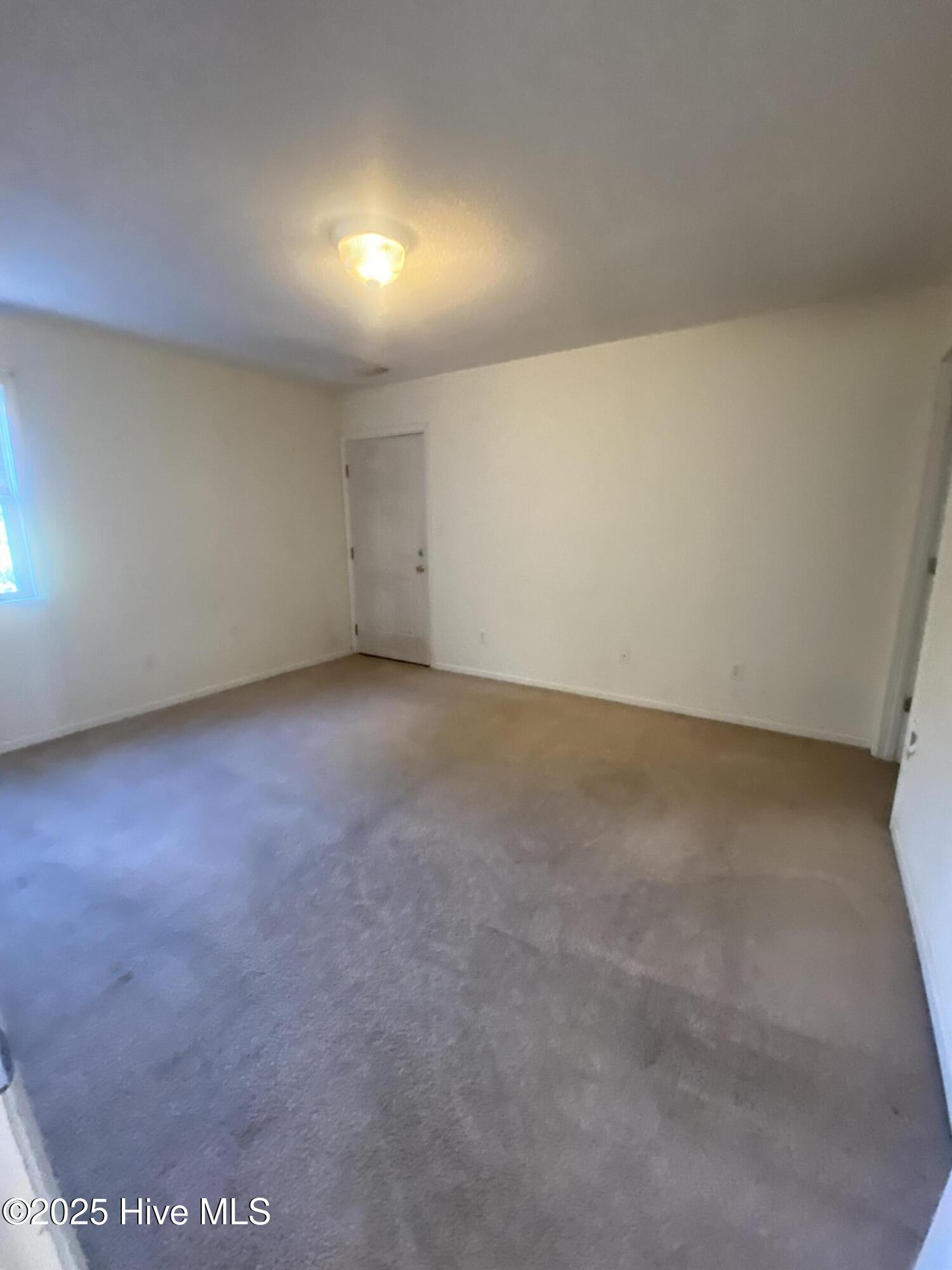 100517561 | Photo 28