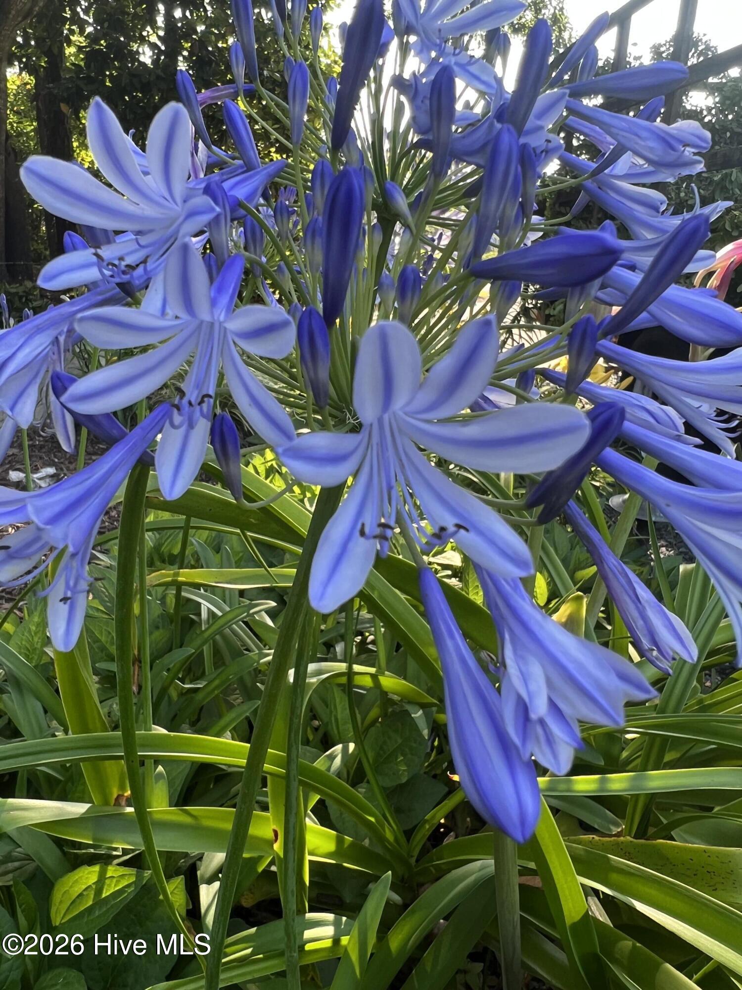 100556921 | Photo 55