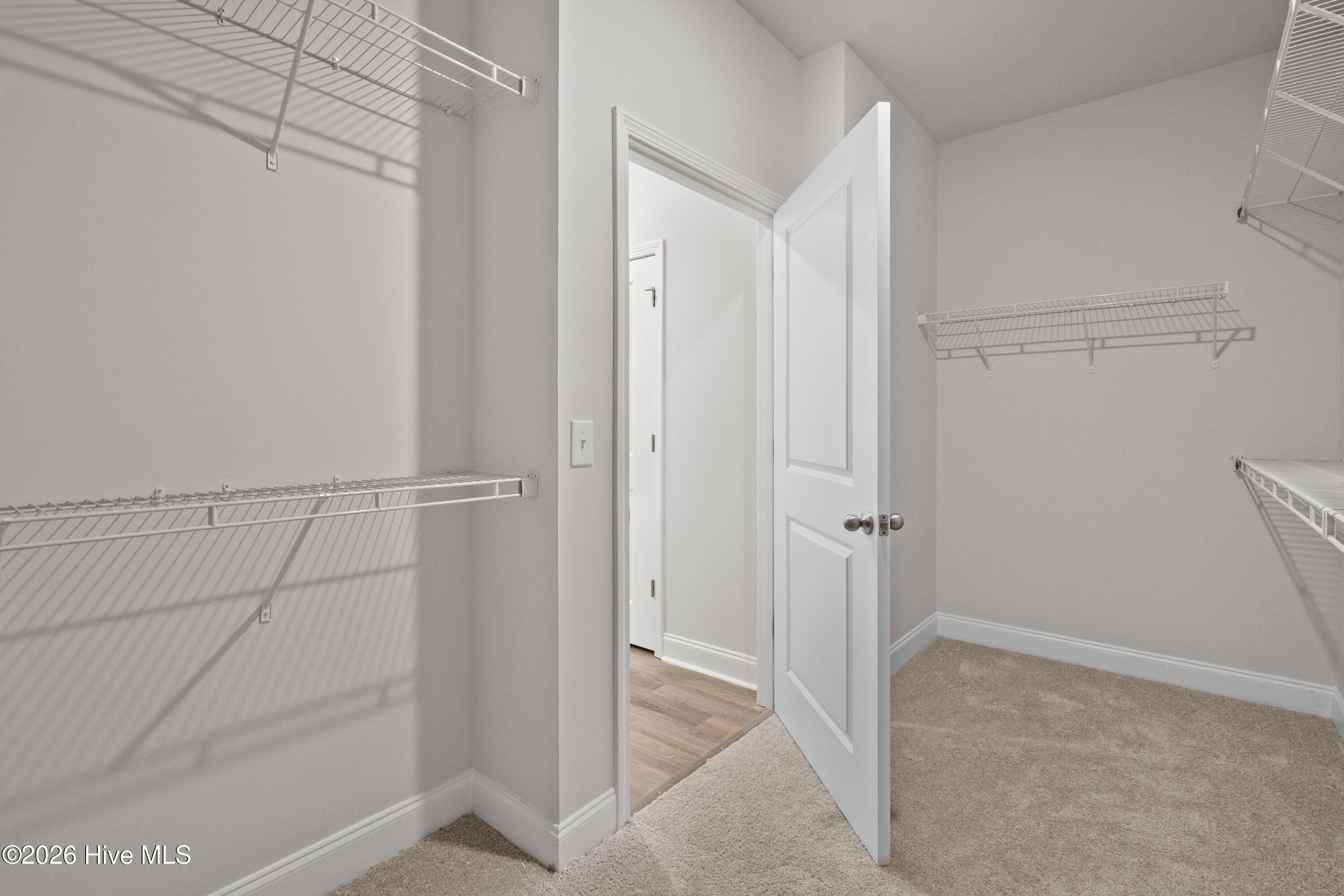 100554702 | Photo 28