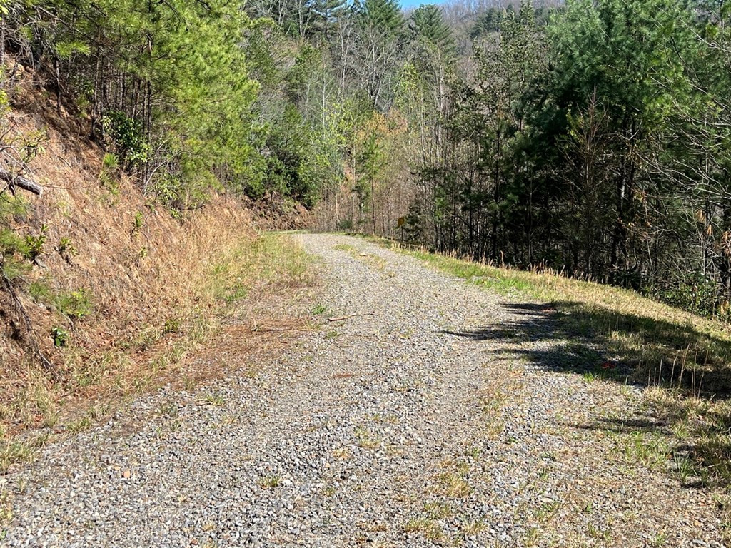Exterior photo of Lot 46 Kudzu Creek Trail, Murphy, NC 28906. MLS: 98524428
