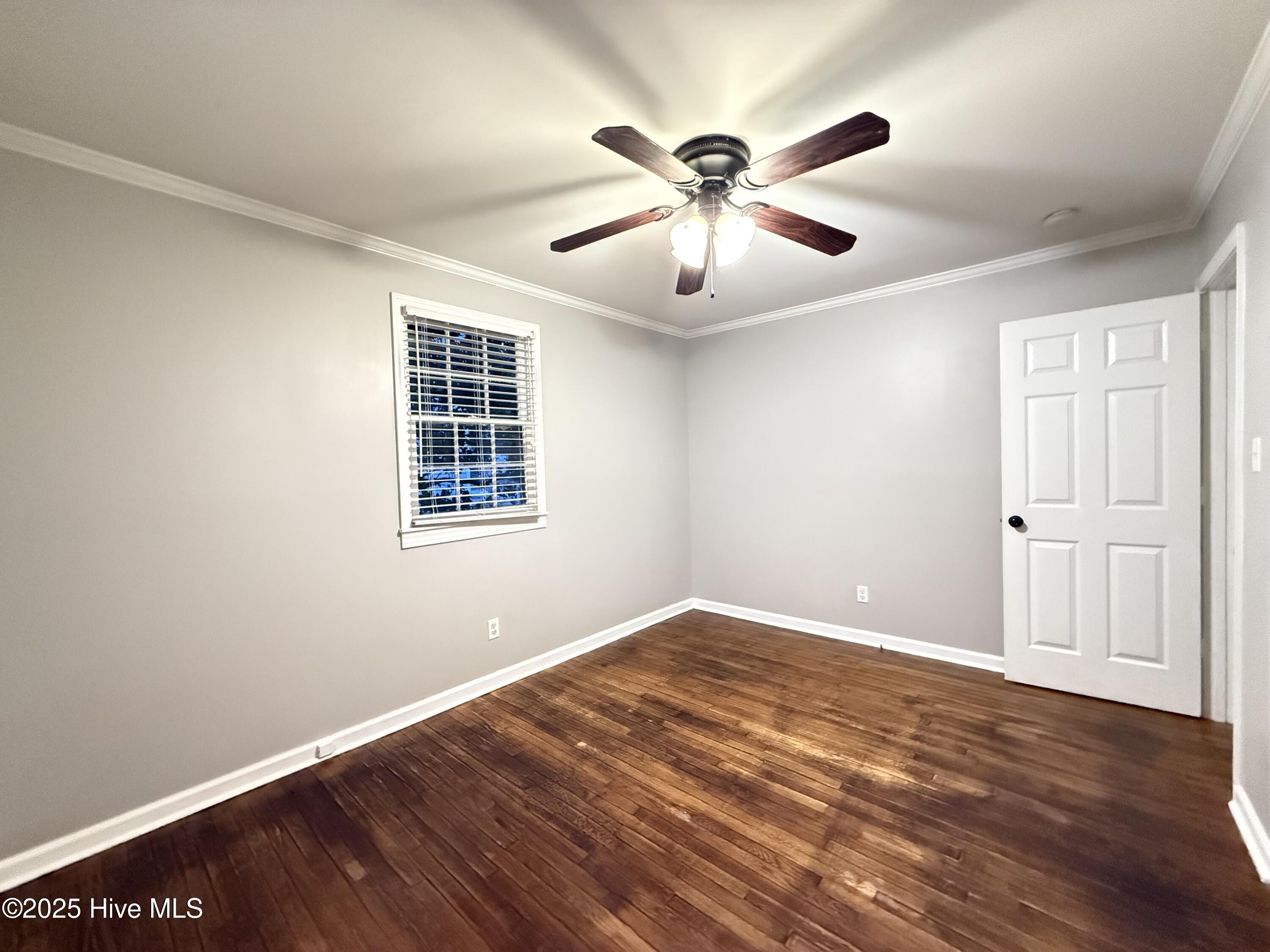 100537874 | Photo 22