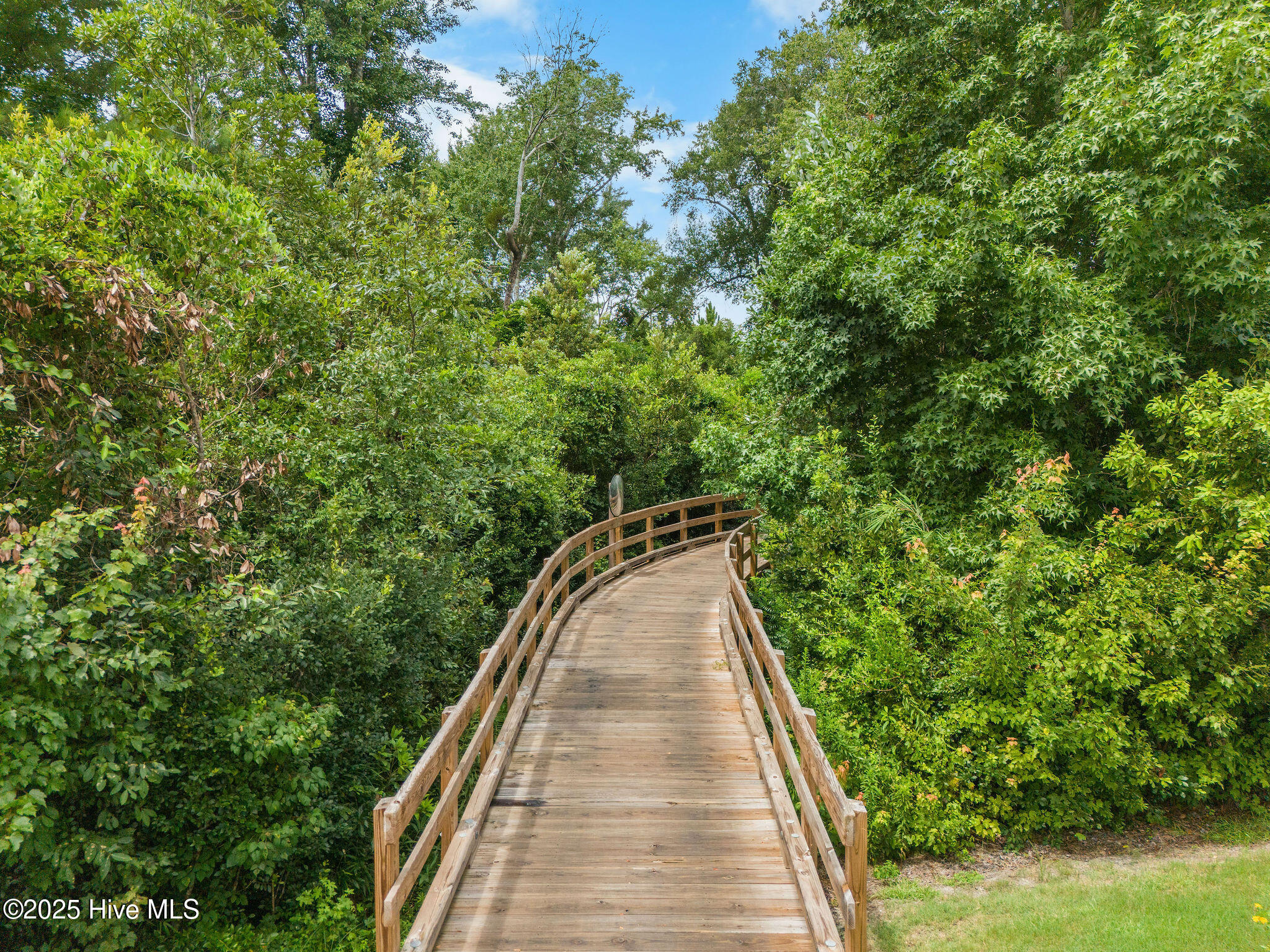 100520063 | Photo 60