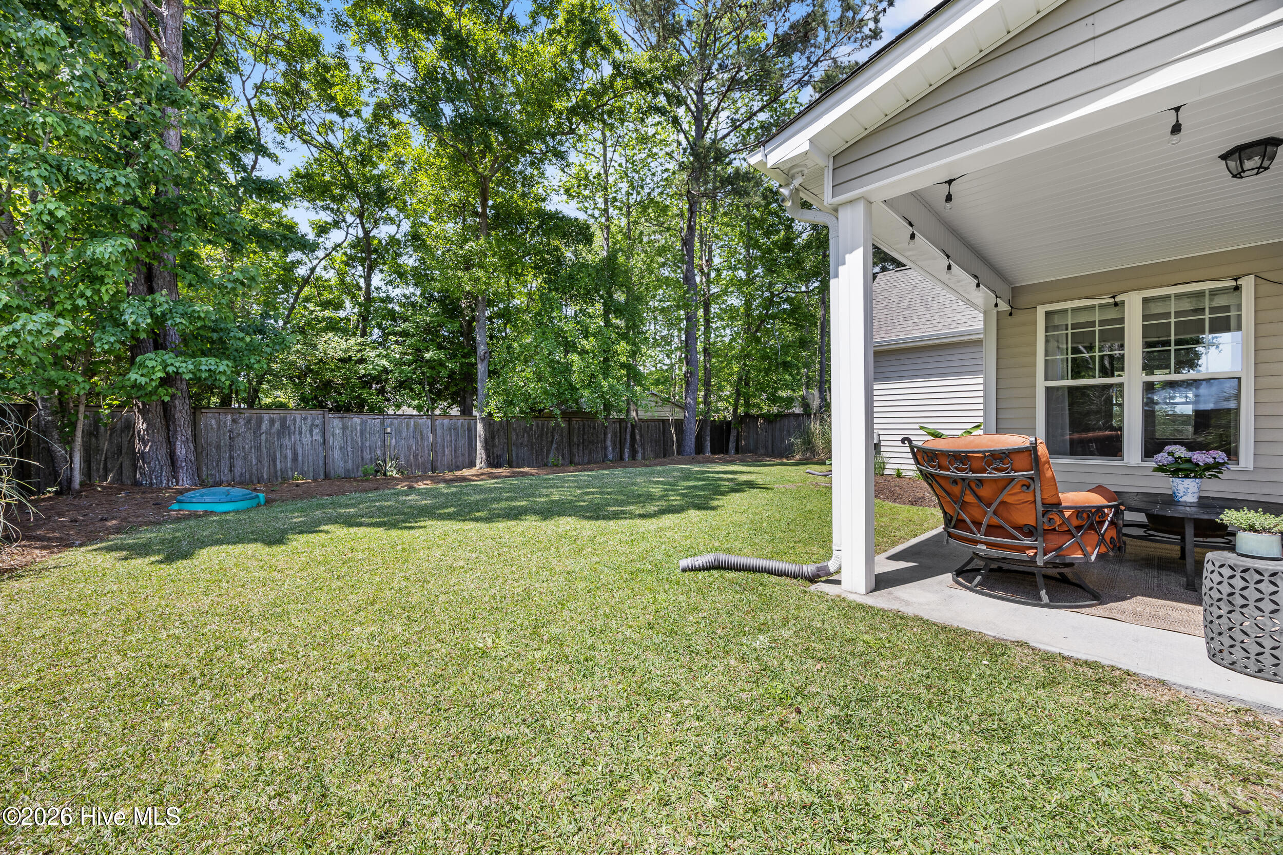 100554590 | Photo 53