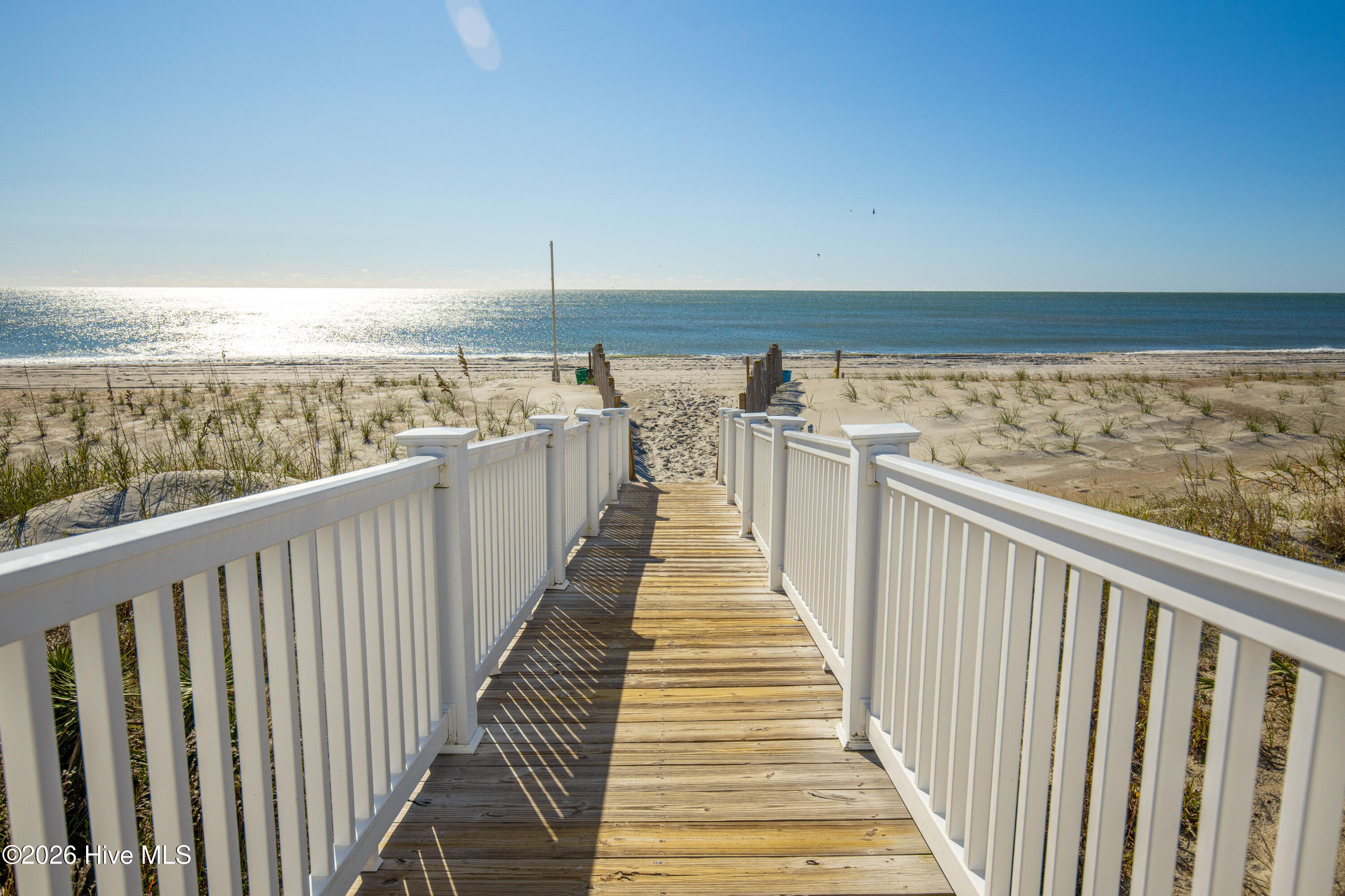 100567463 | Photo 71