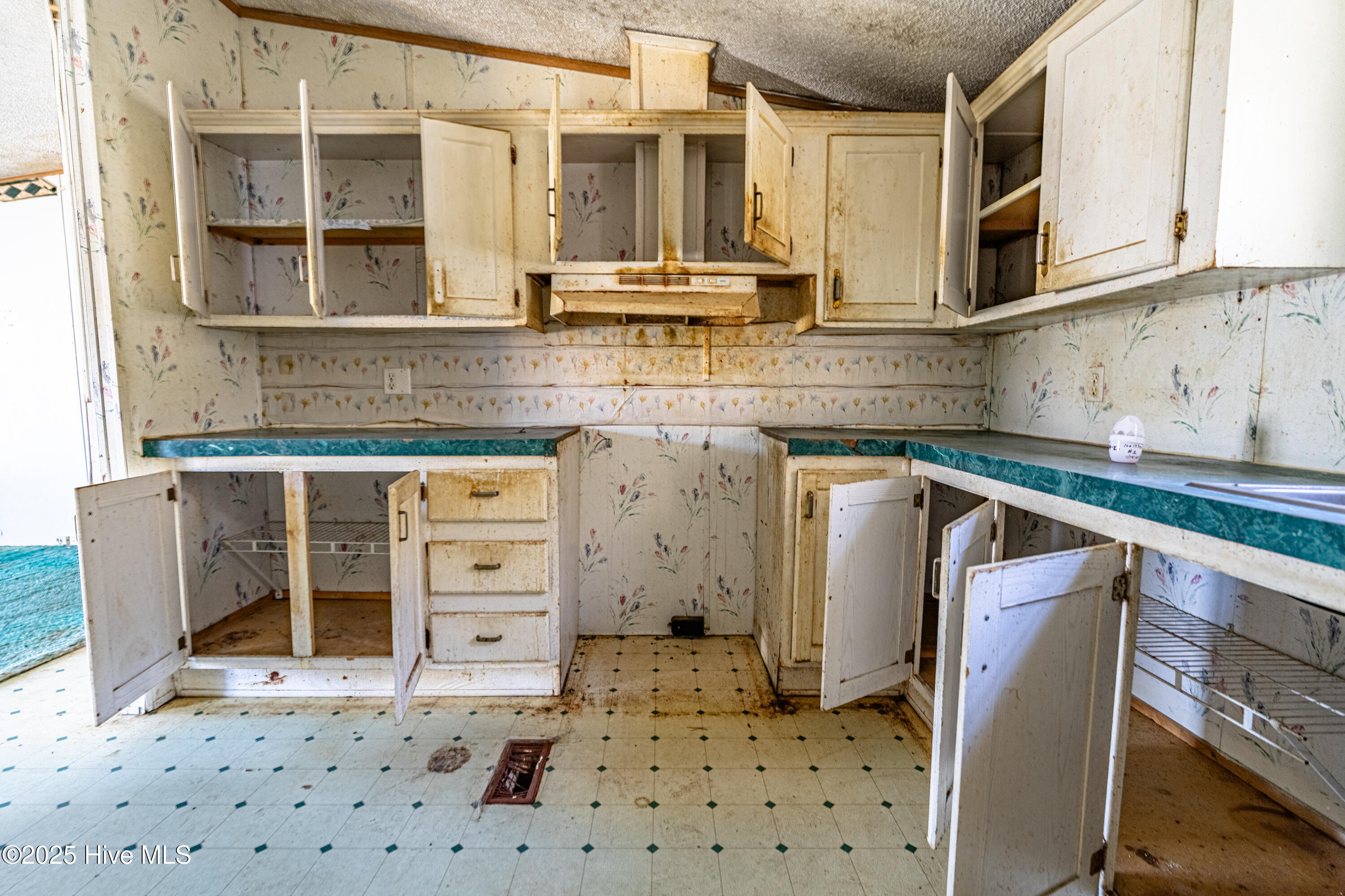 100545698 | Photo 19