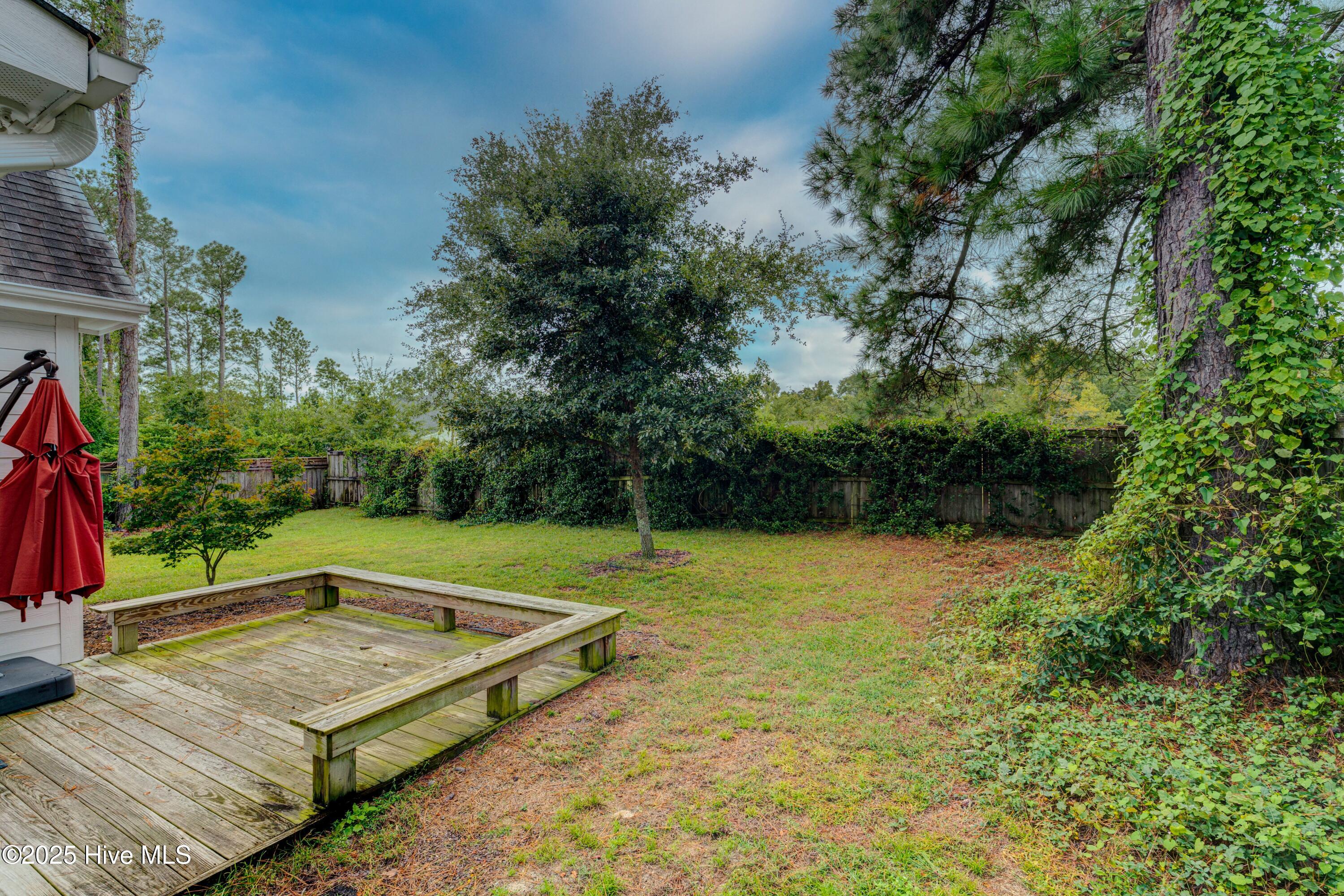 100536427 | Photo 51