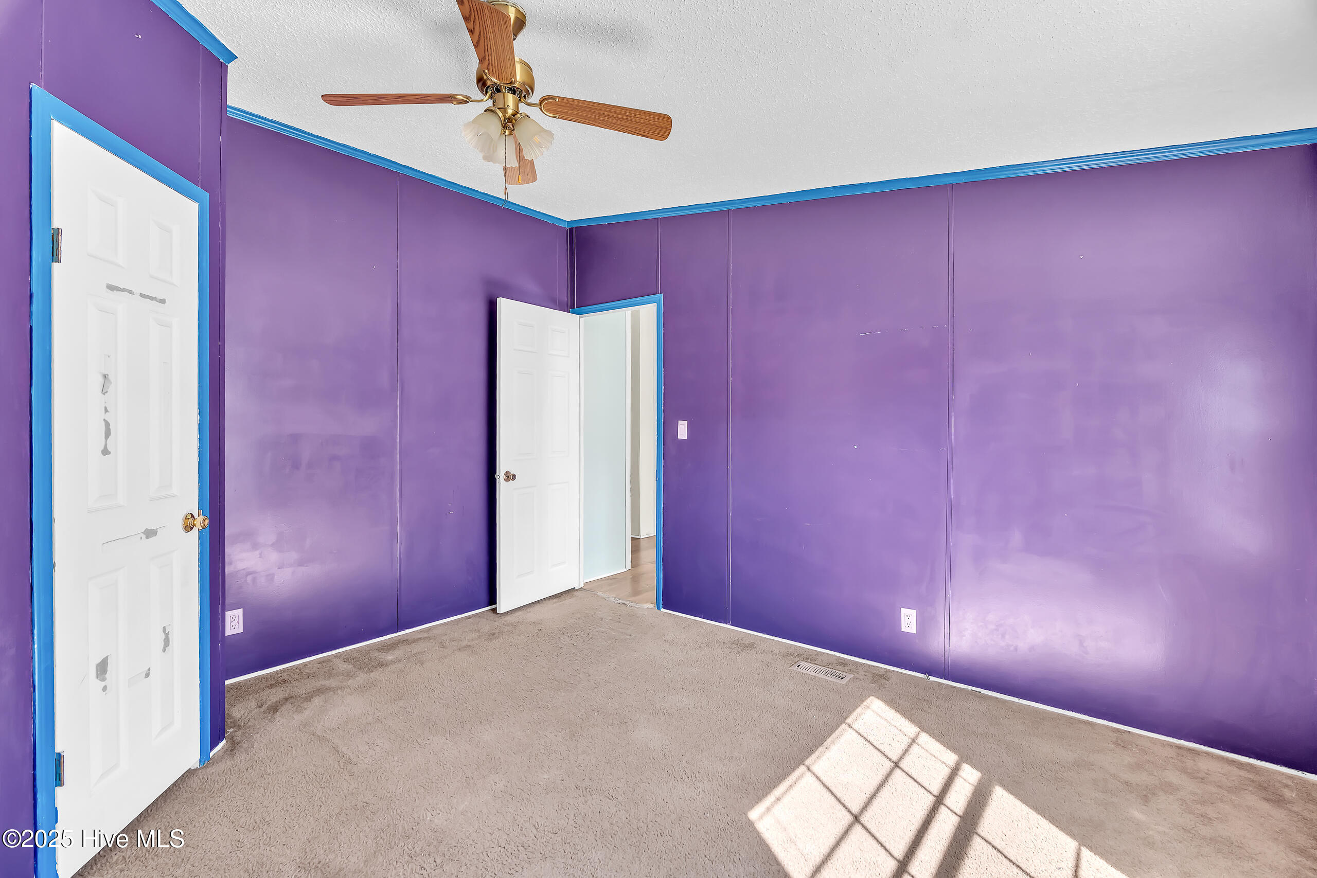 100538064 | Photo 24