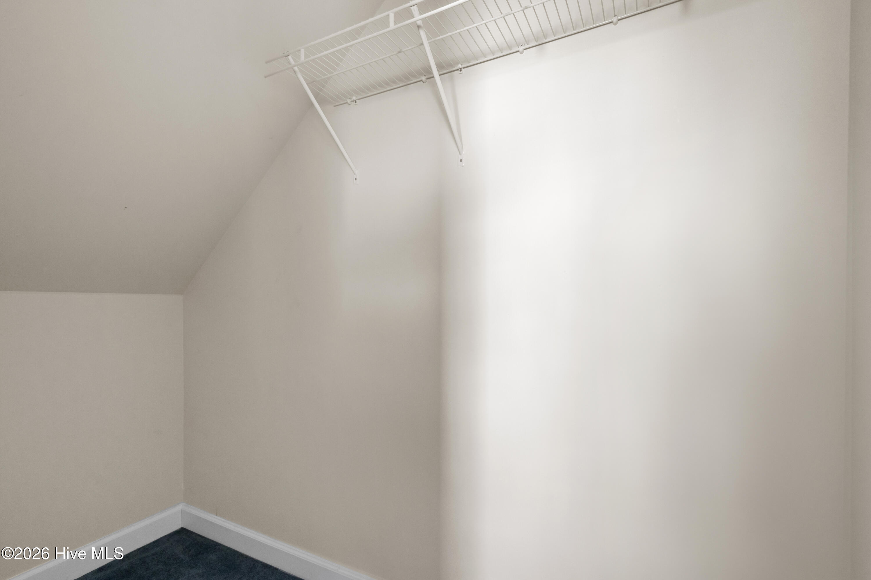 100567546 | Photo 25