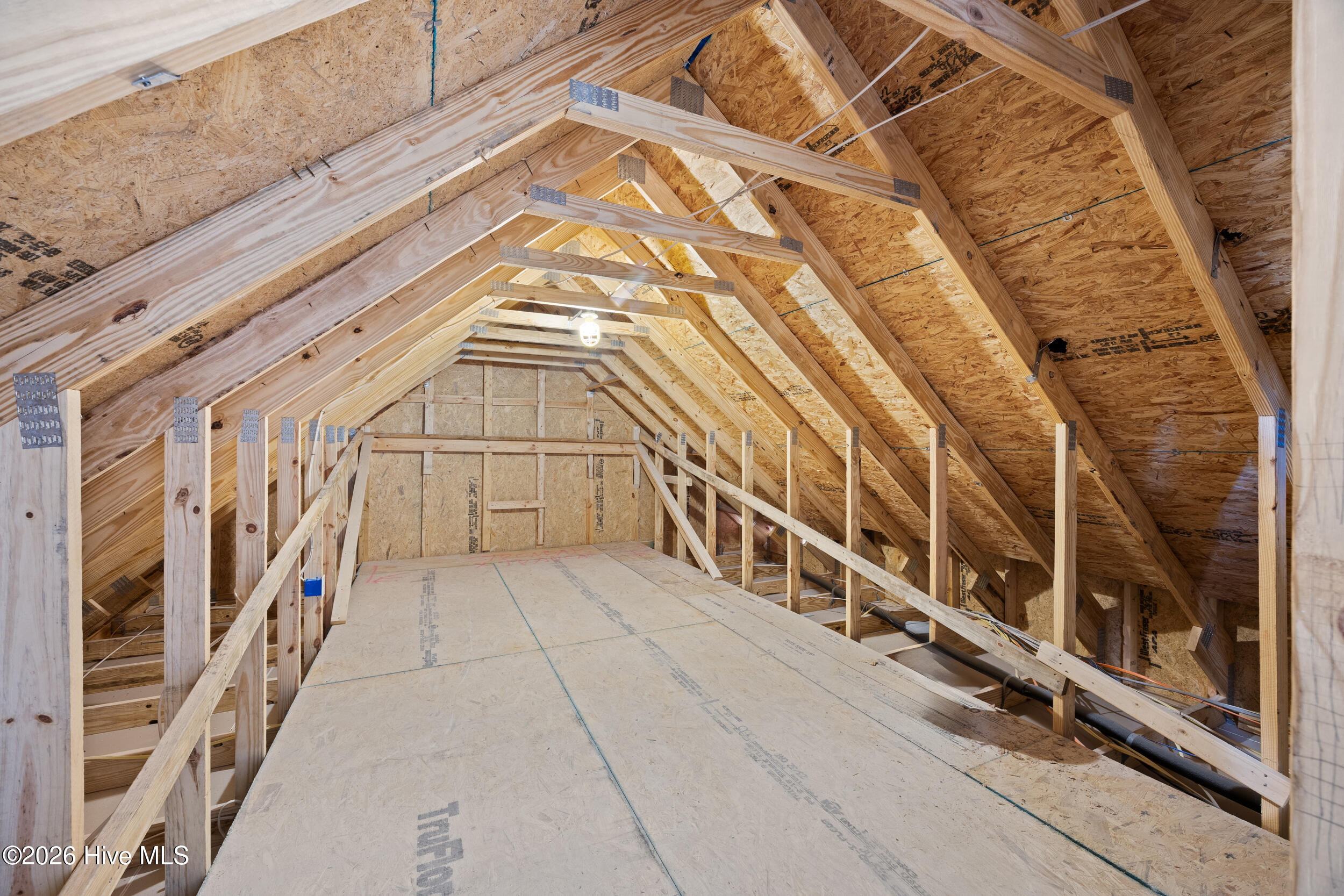 100566322 | Photo 27