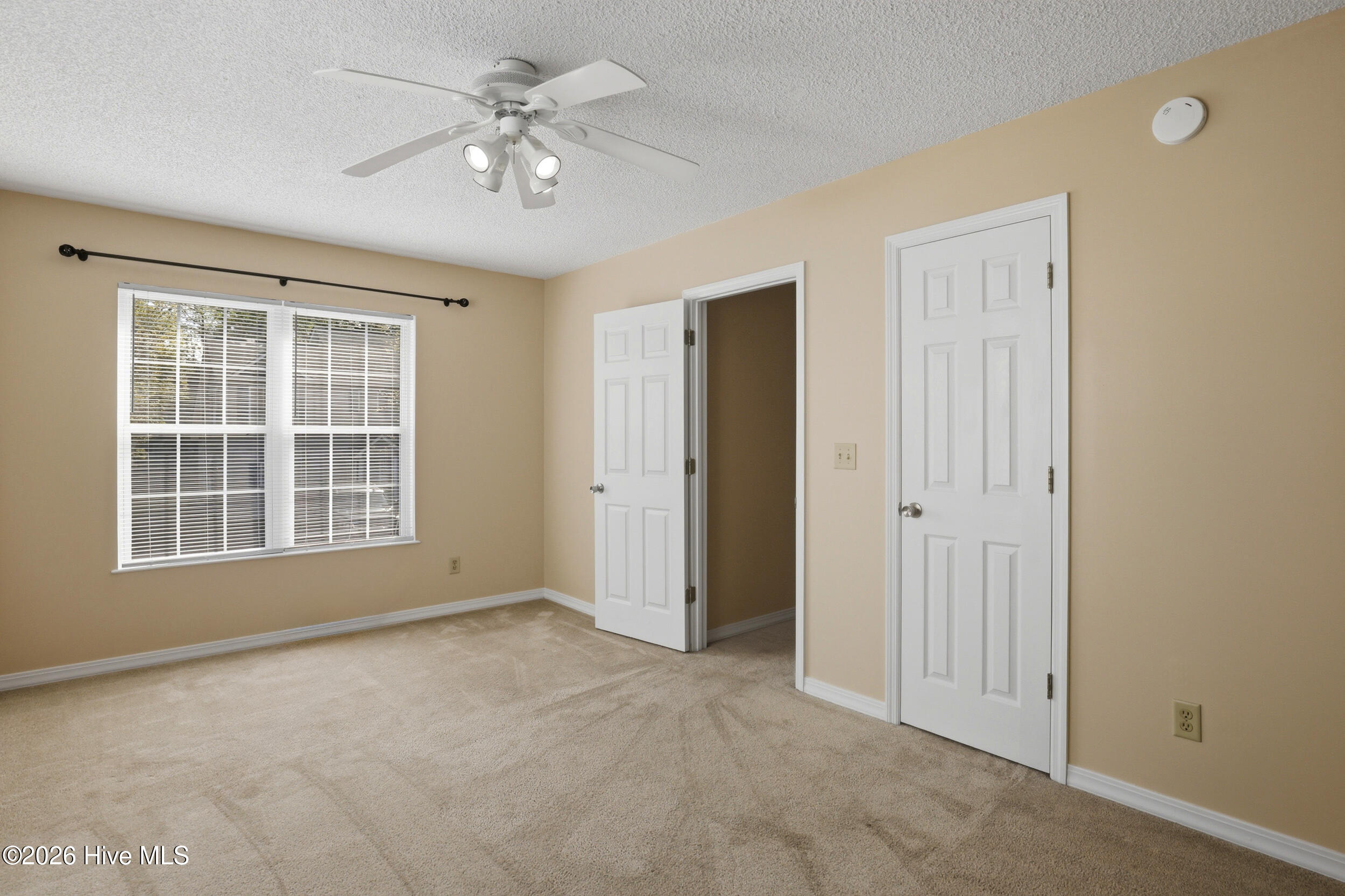 100564437 | Photo 27