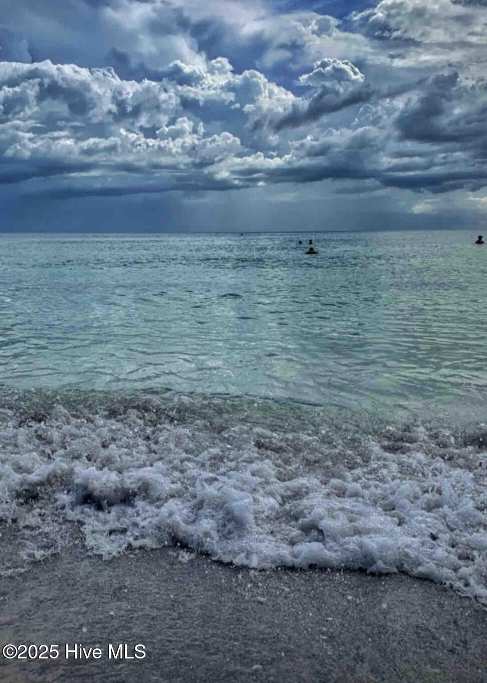 100542449 | Photo 45