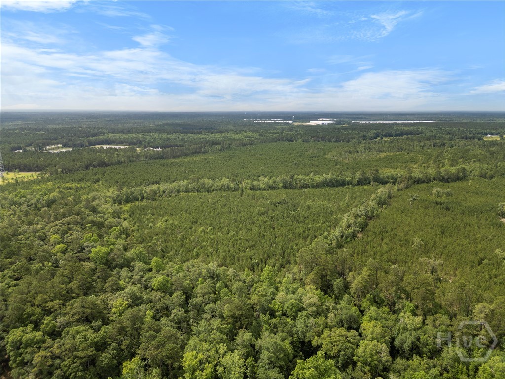 0 Rahn Station Road, Rincon, GA, 31326