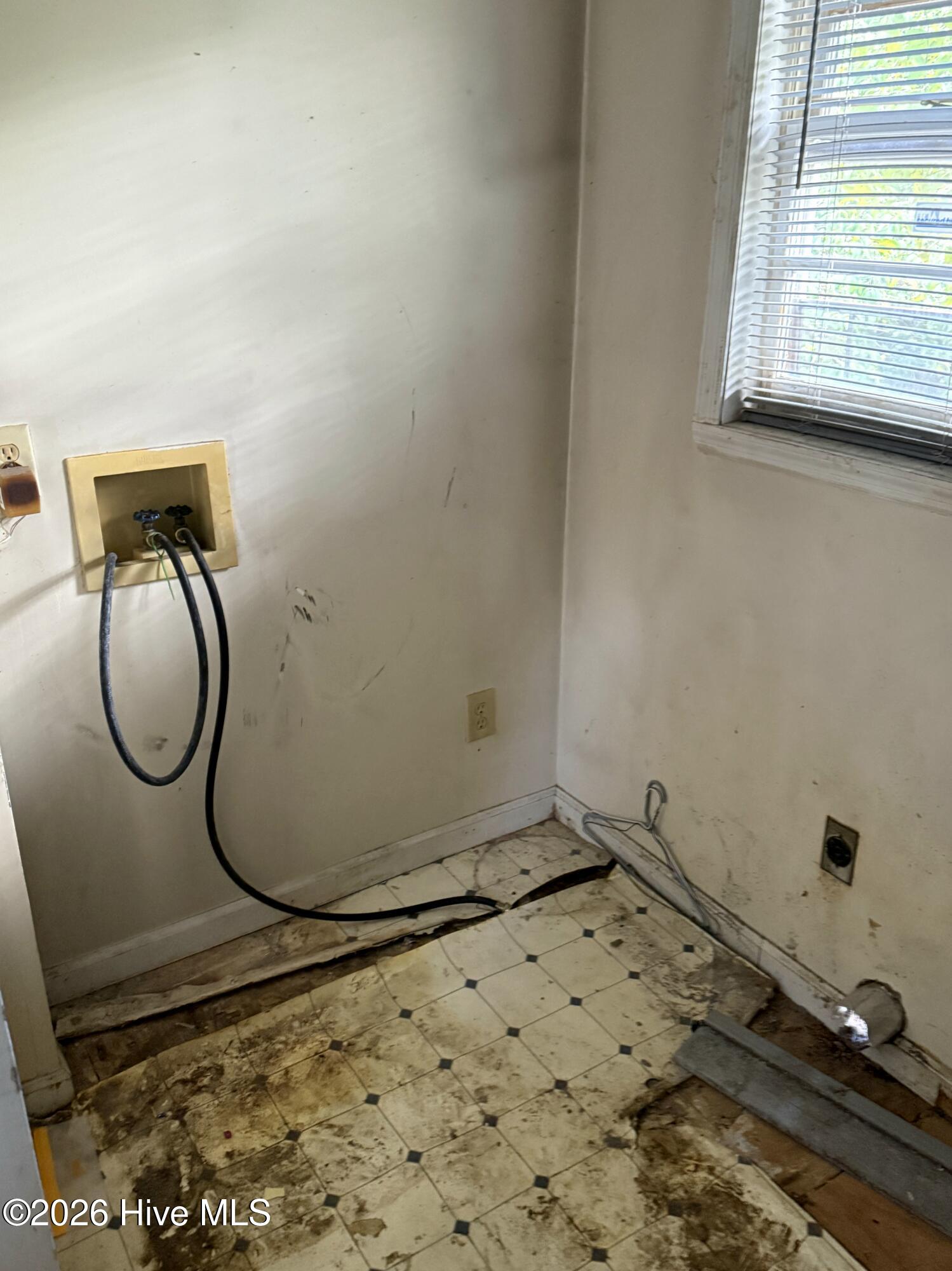 100565154 | Photo 10