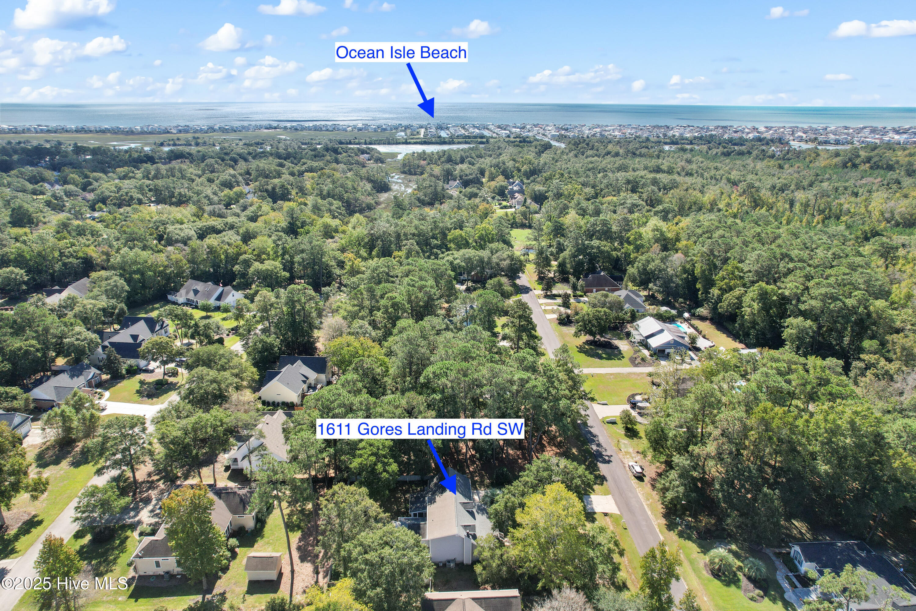 100537451 | Photo 30