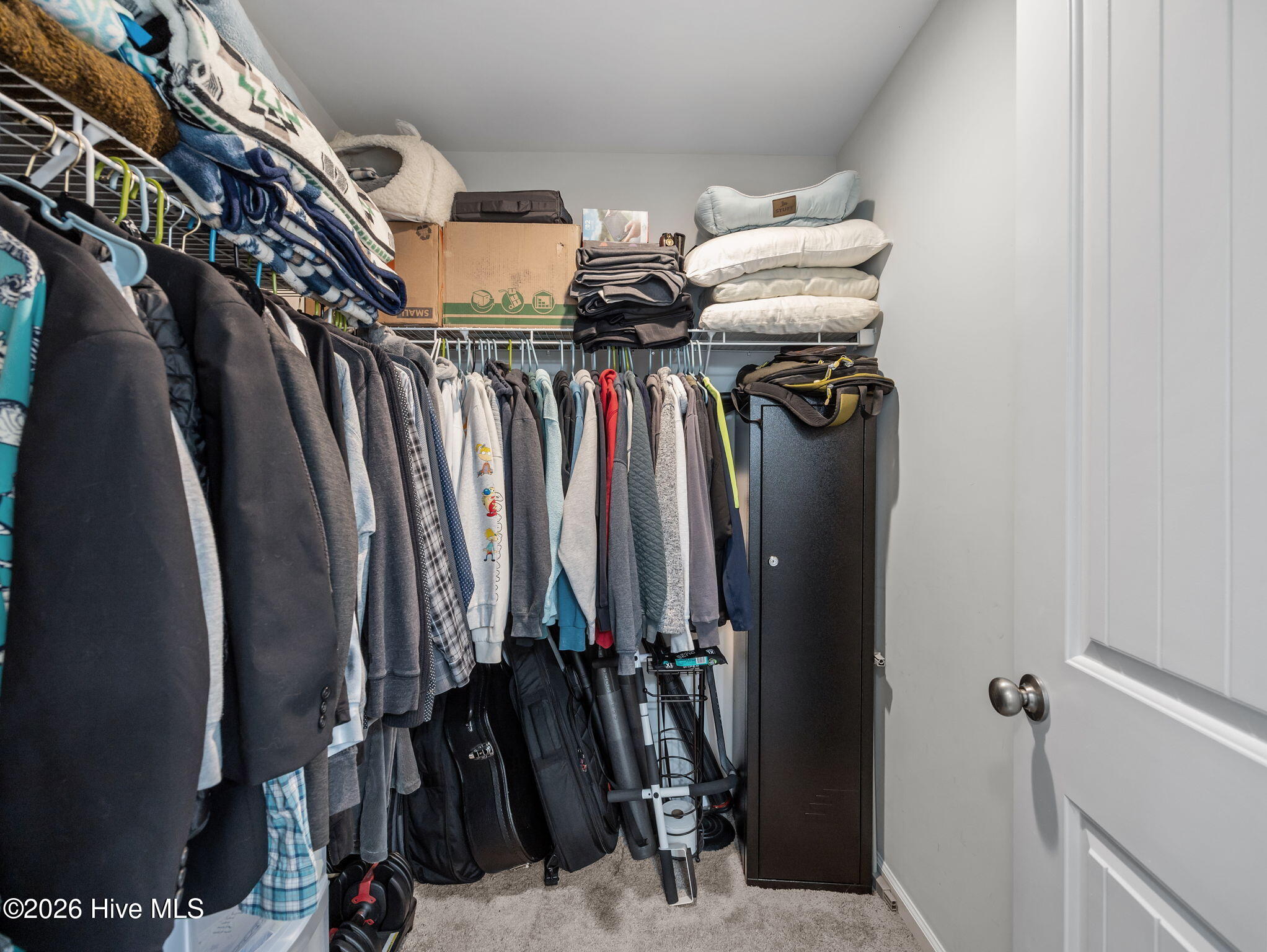 100564221 | Photo 27