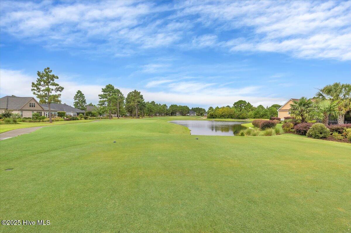 100527091 | Photo 57