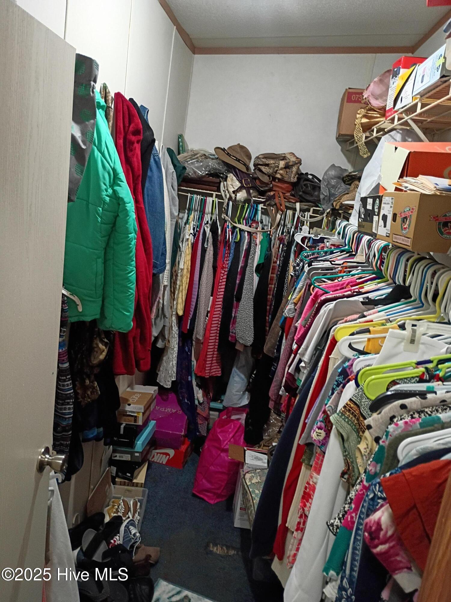 100522957 | Photo 25