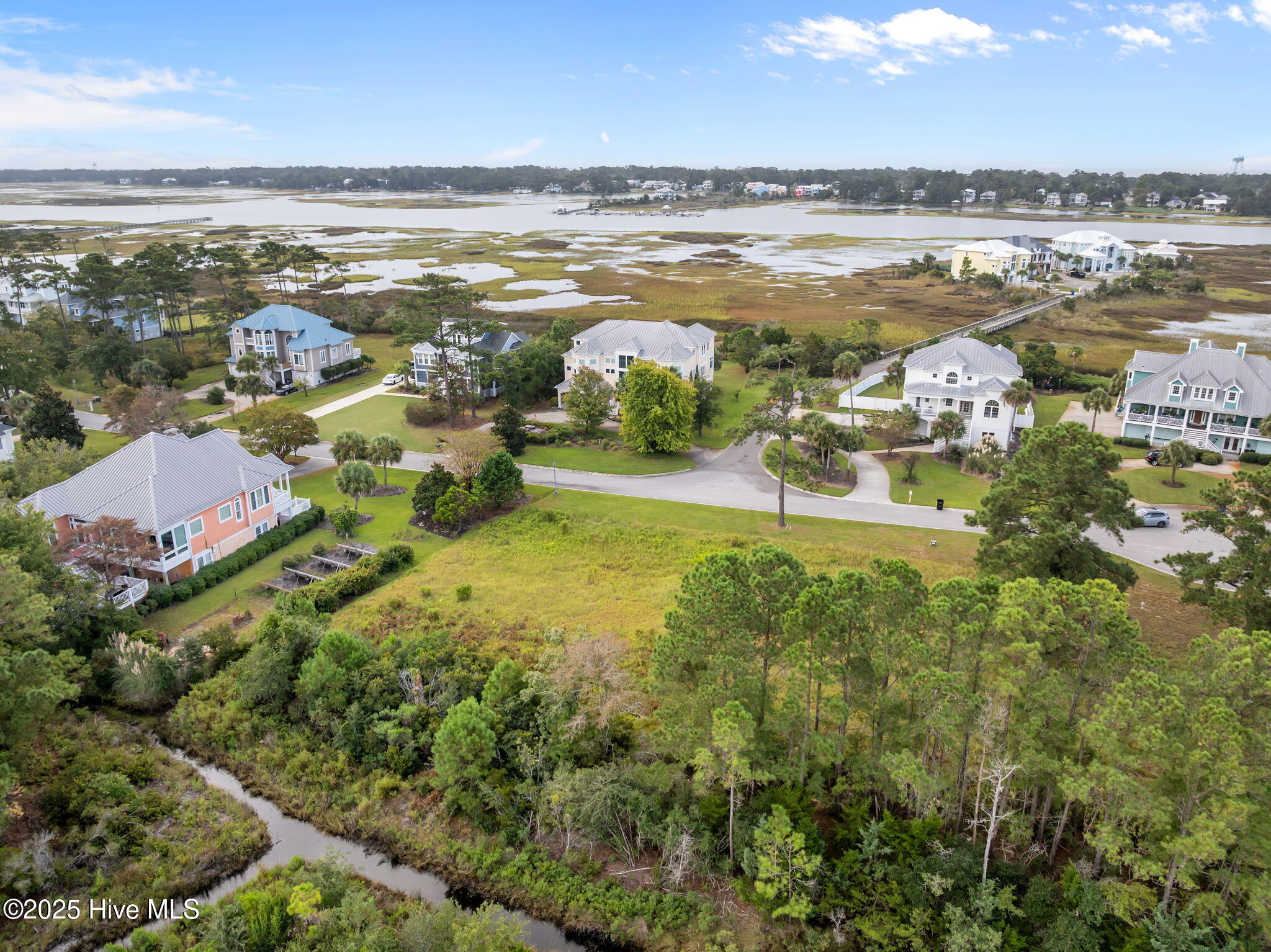 100531623 | Photo 18