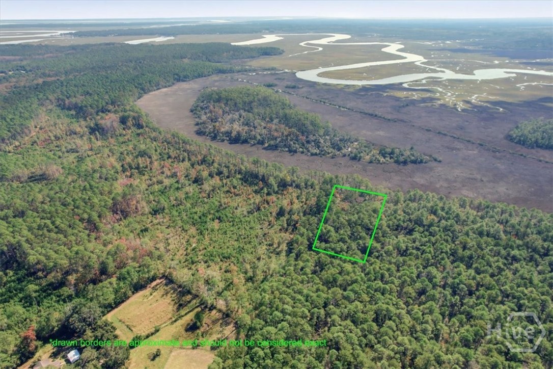 Homes for sale in Townsend, GA | 0 Fair Hope Rd Ne, Townsend, GA 31331 | MLS# SA343434