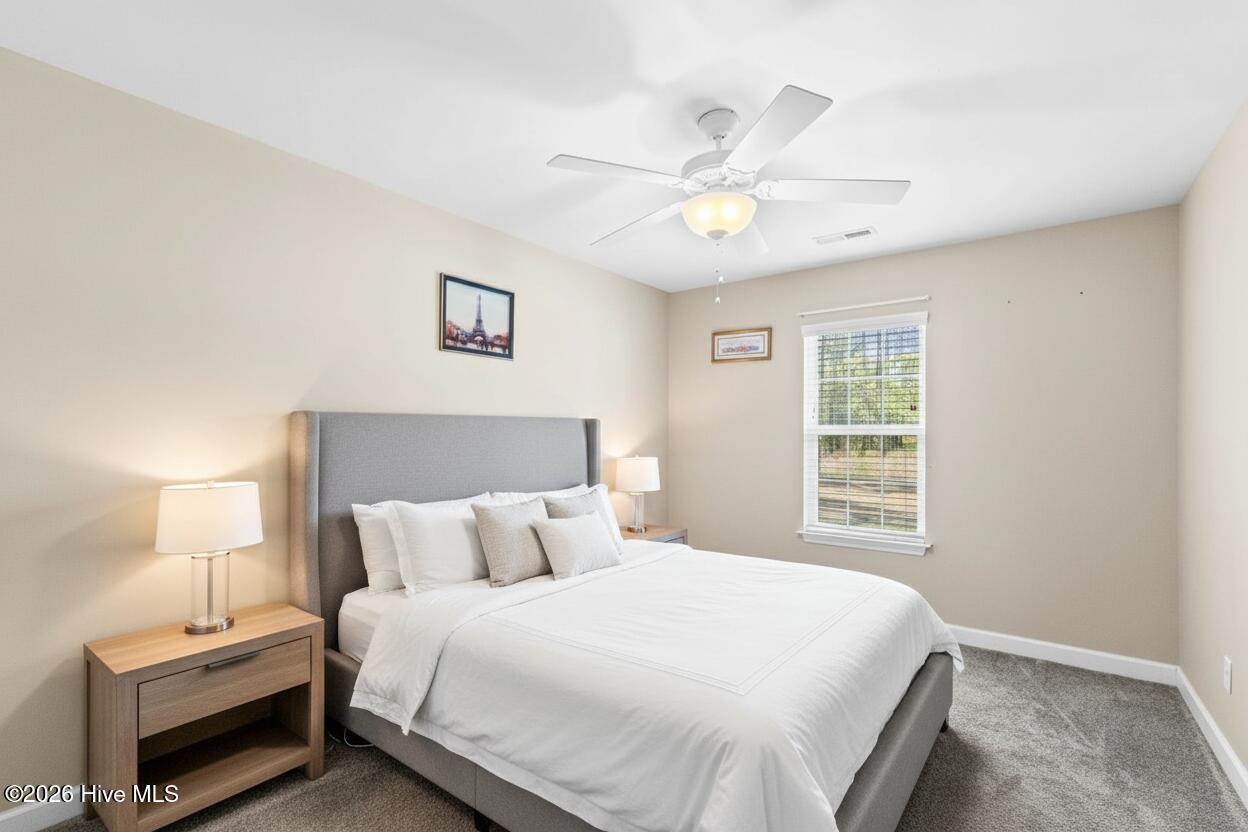 100554098 | Photo 23