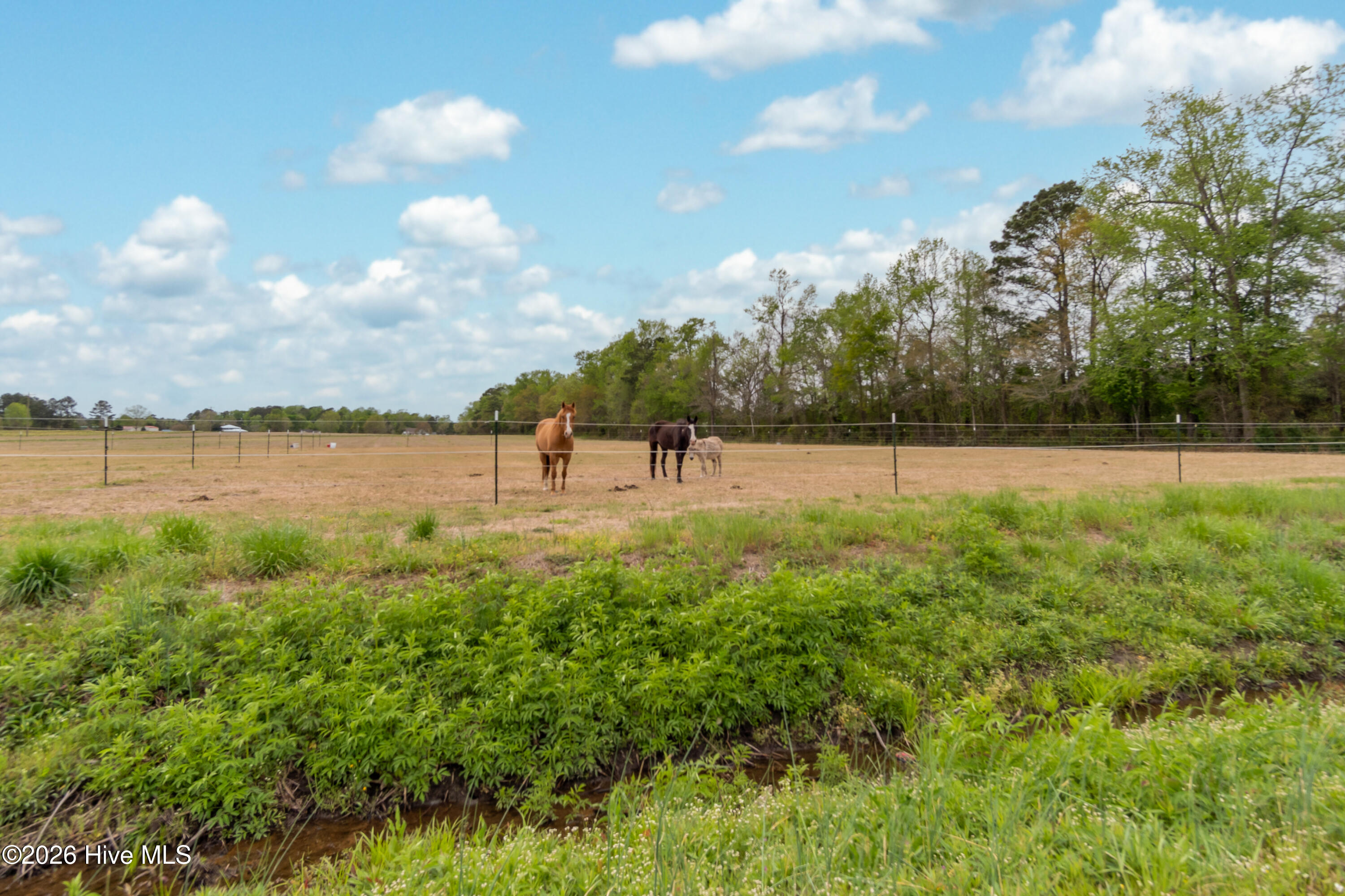 1560 White Oak River Road,Maysville