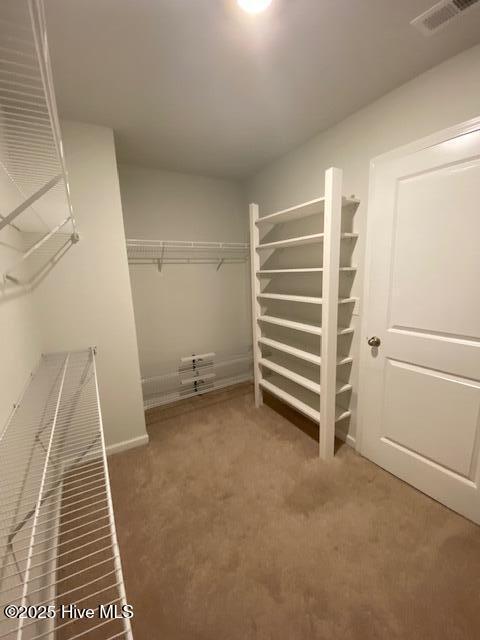 100537464 | Photo 18