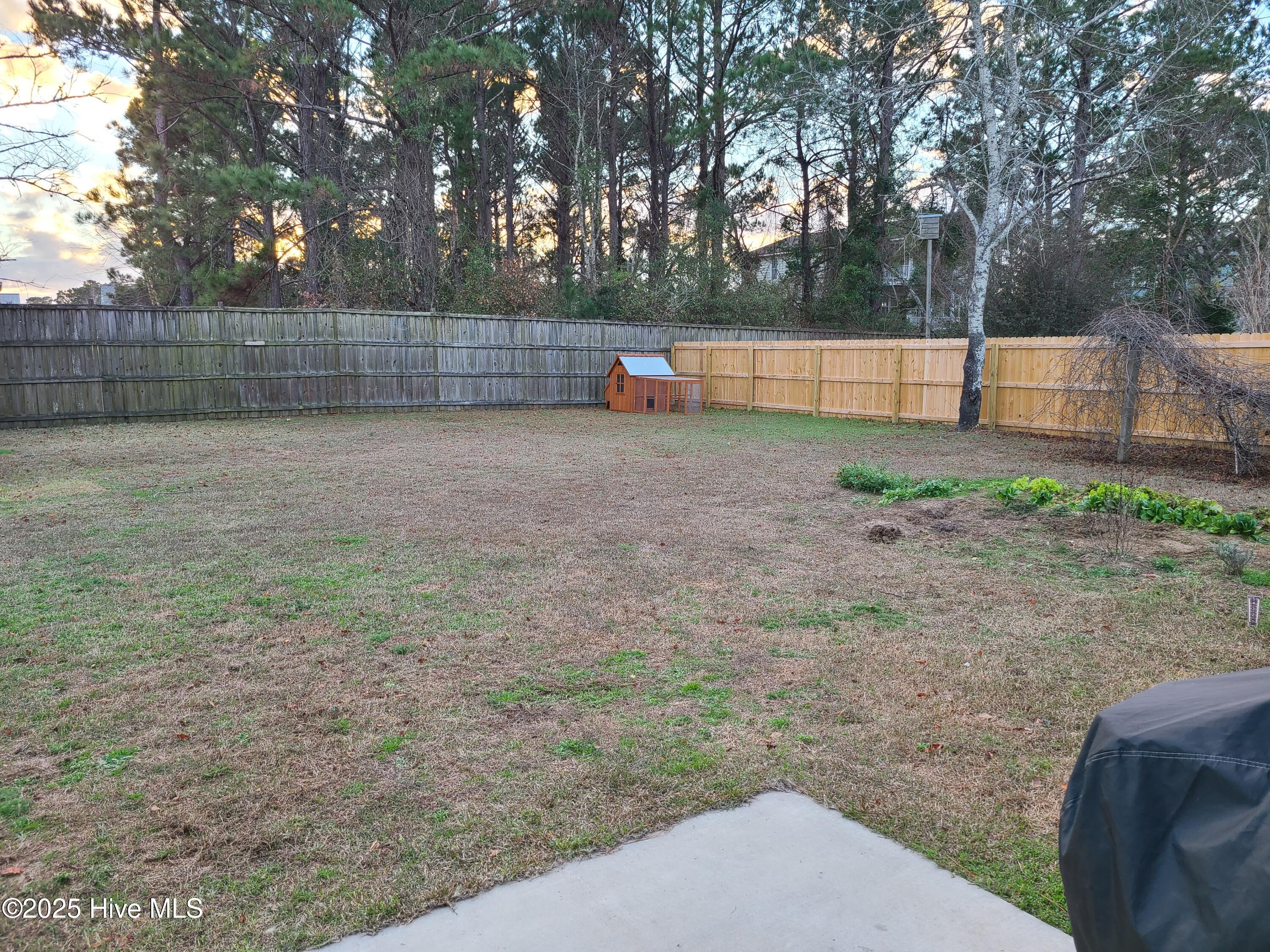 100540753 | Photo 16