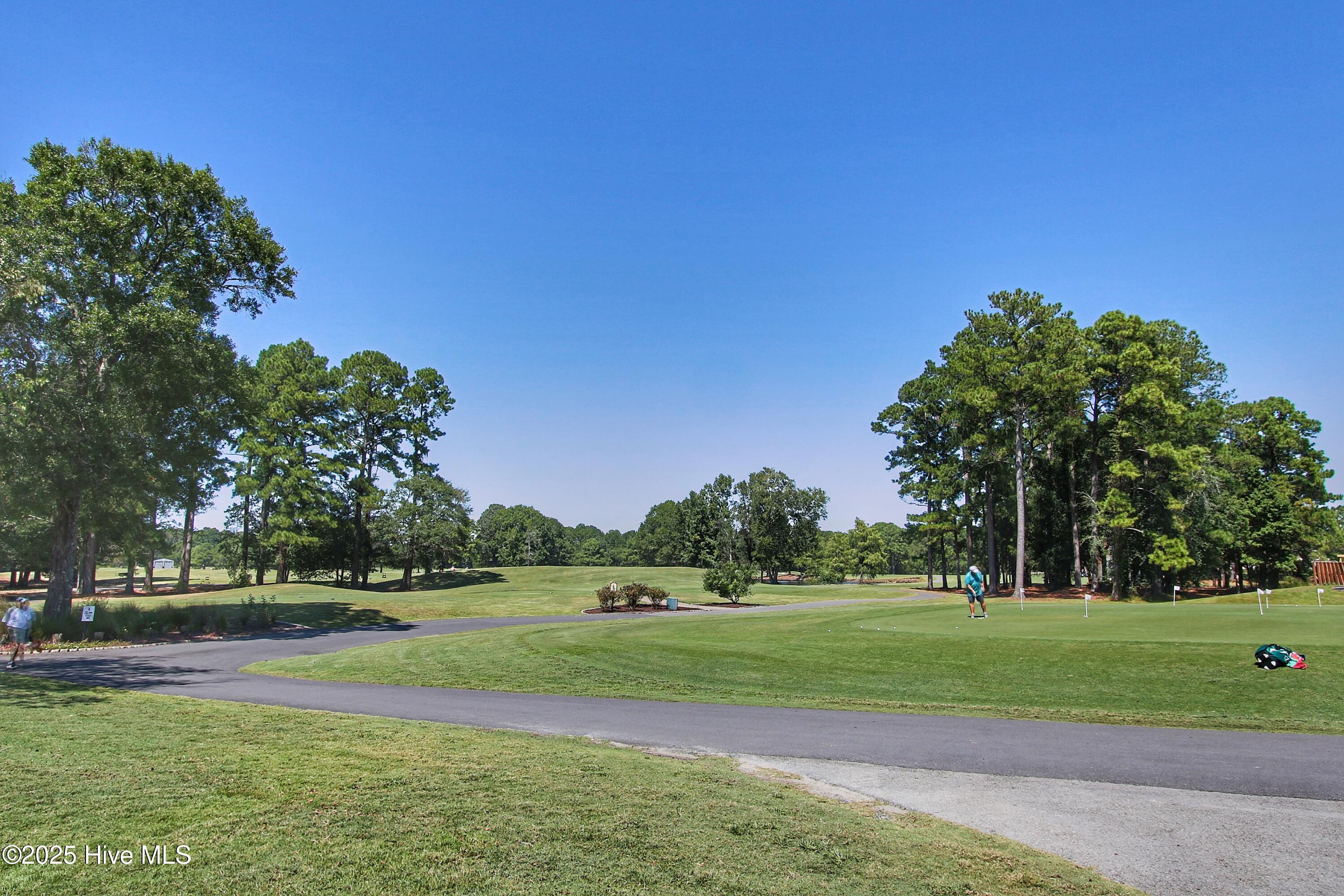 100525378 | Photo 59