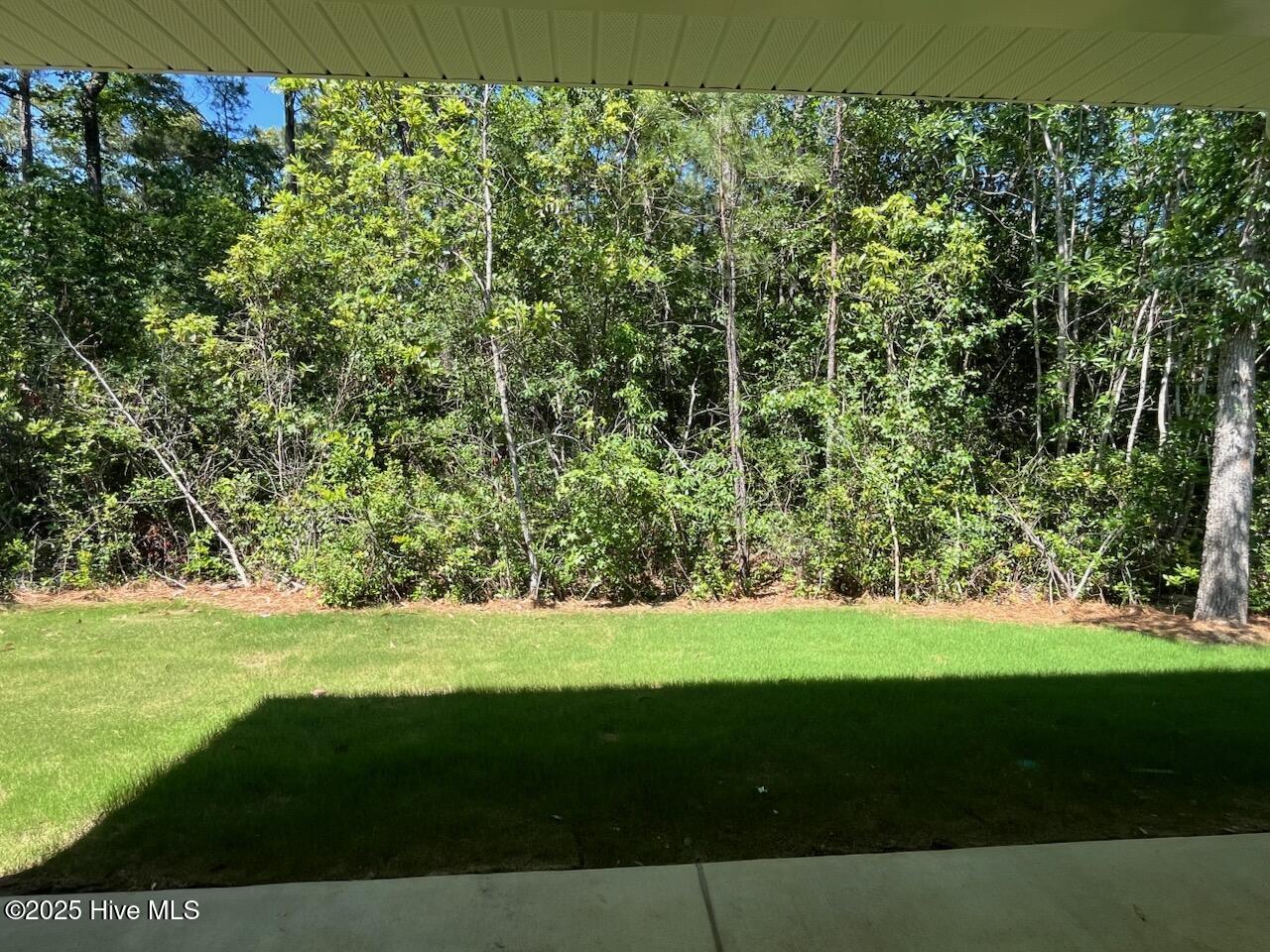 100518408 | Photo 28