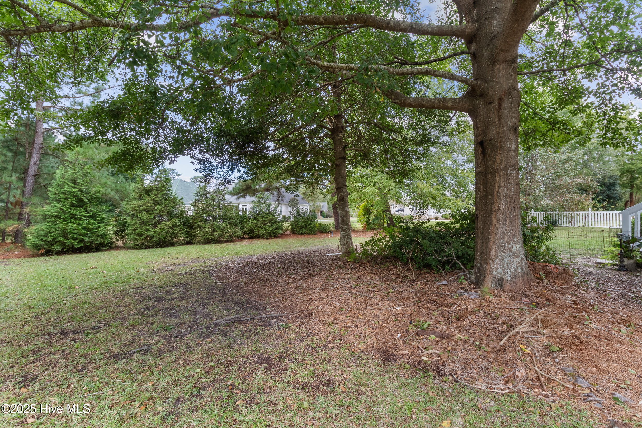 100536659 | Photo 44