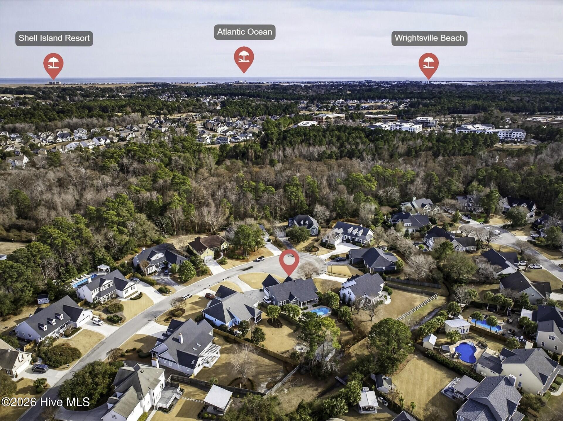 100551466 | Photo 50