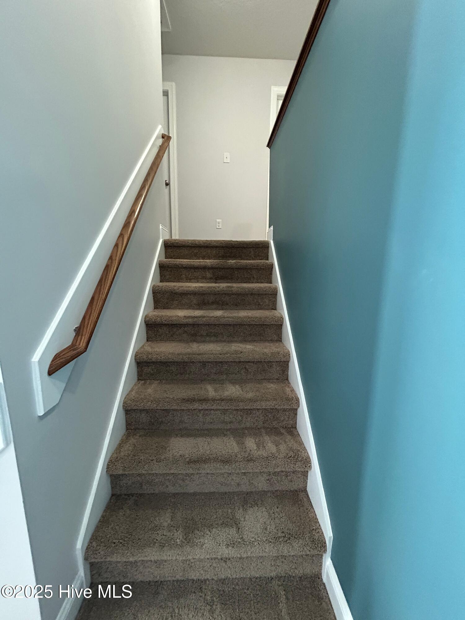 100528484 | Photo 20