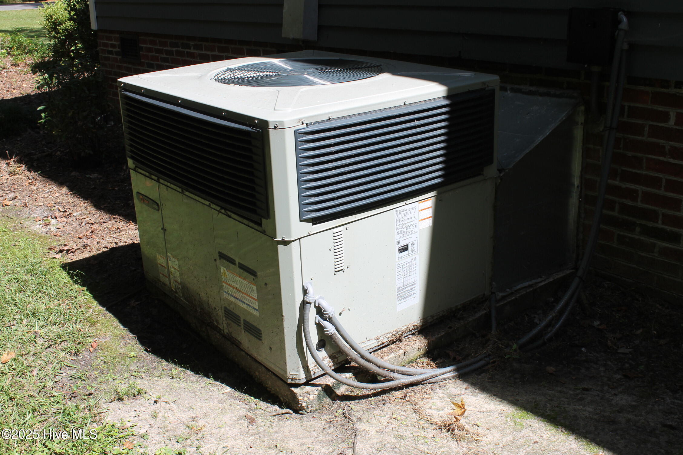 100530982 | Photo 22