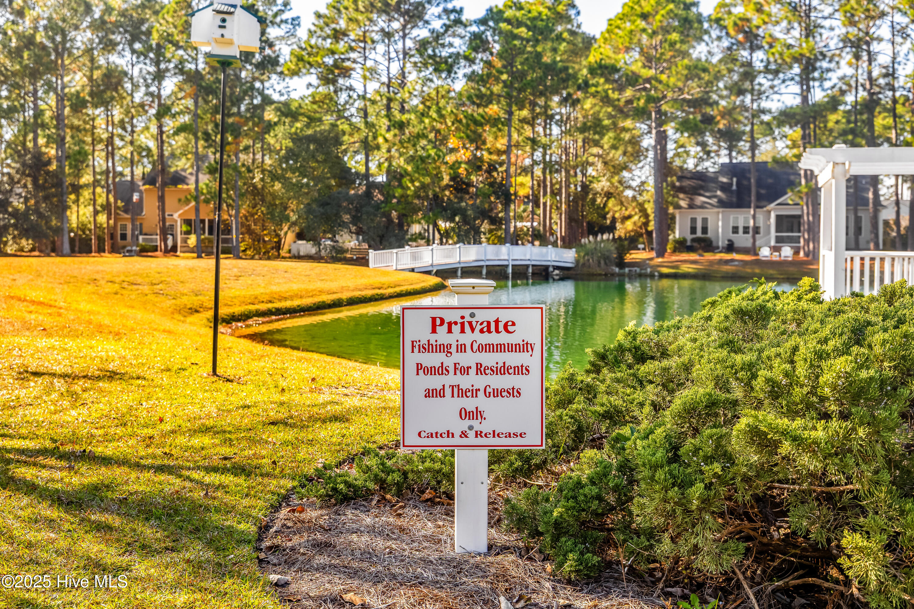 100540432 | Photo 41