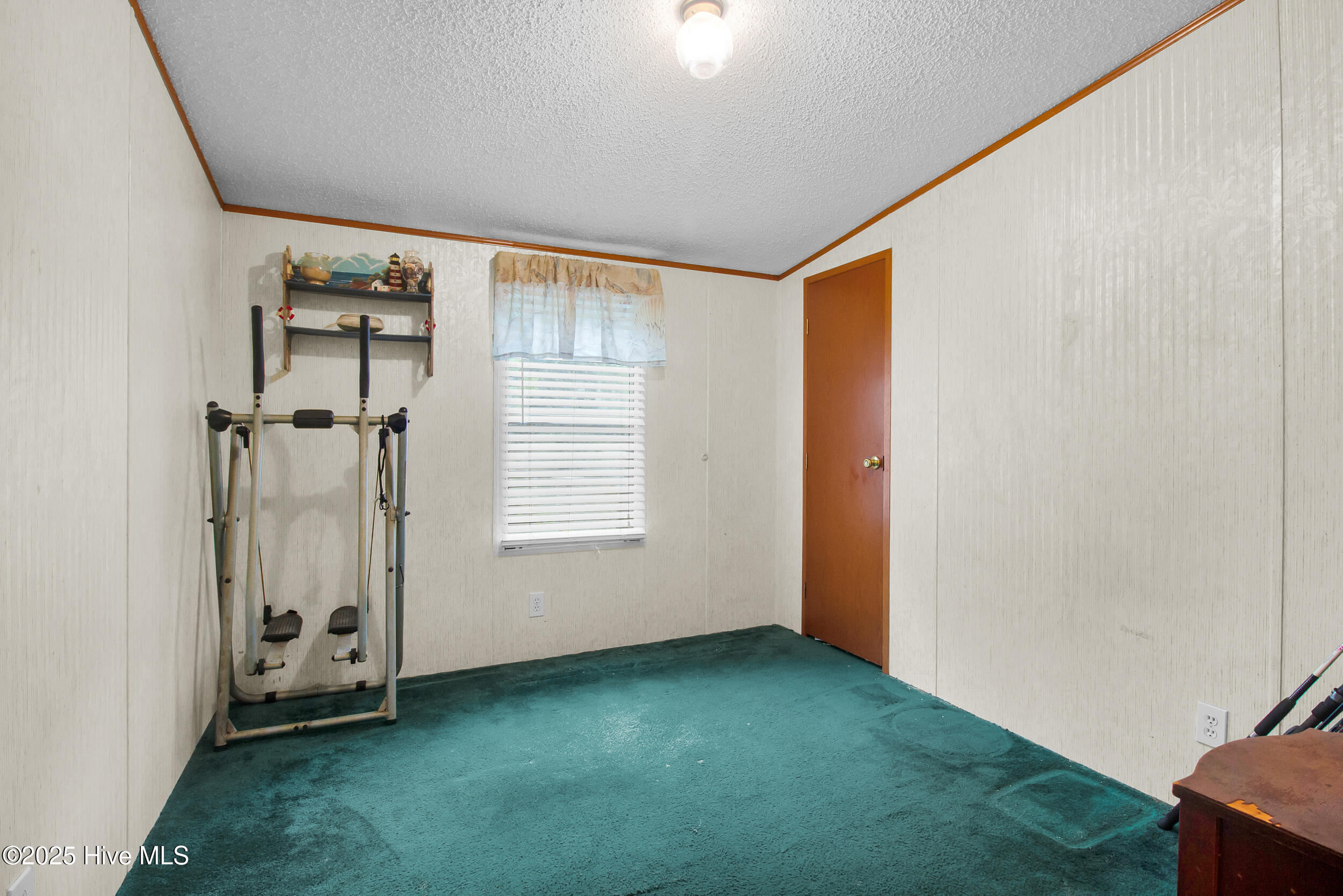 100535721 | Photo 14