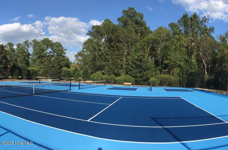 100501798 | Photo 12