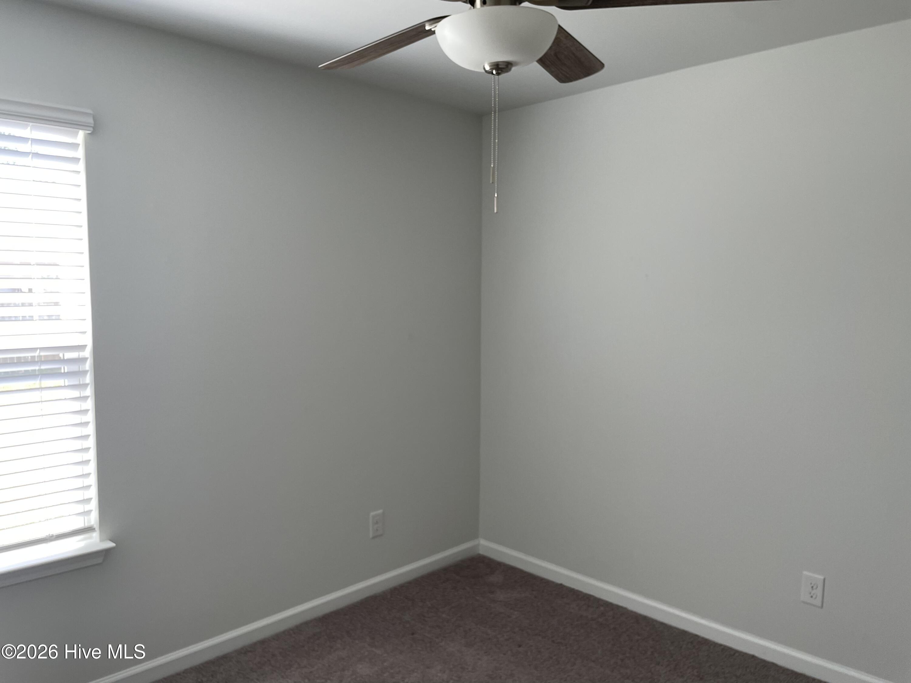 100562231 | Photo 19