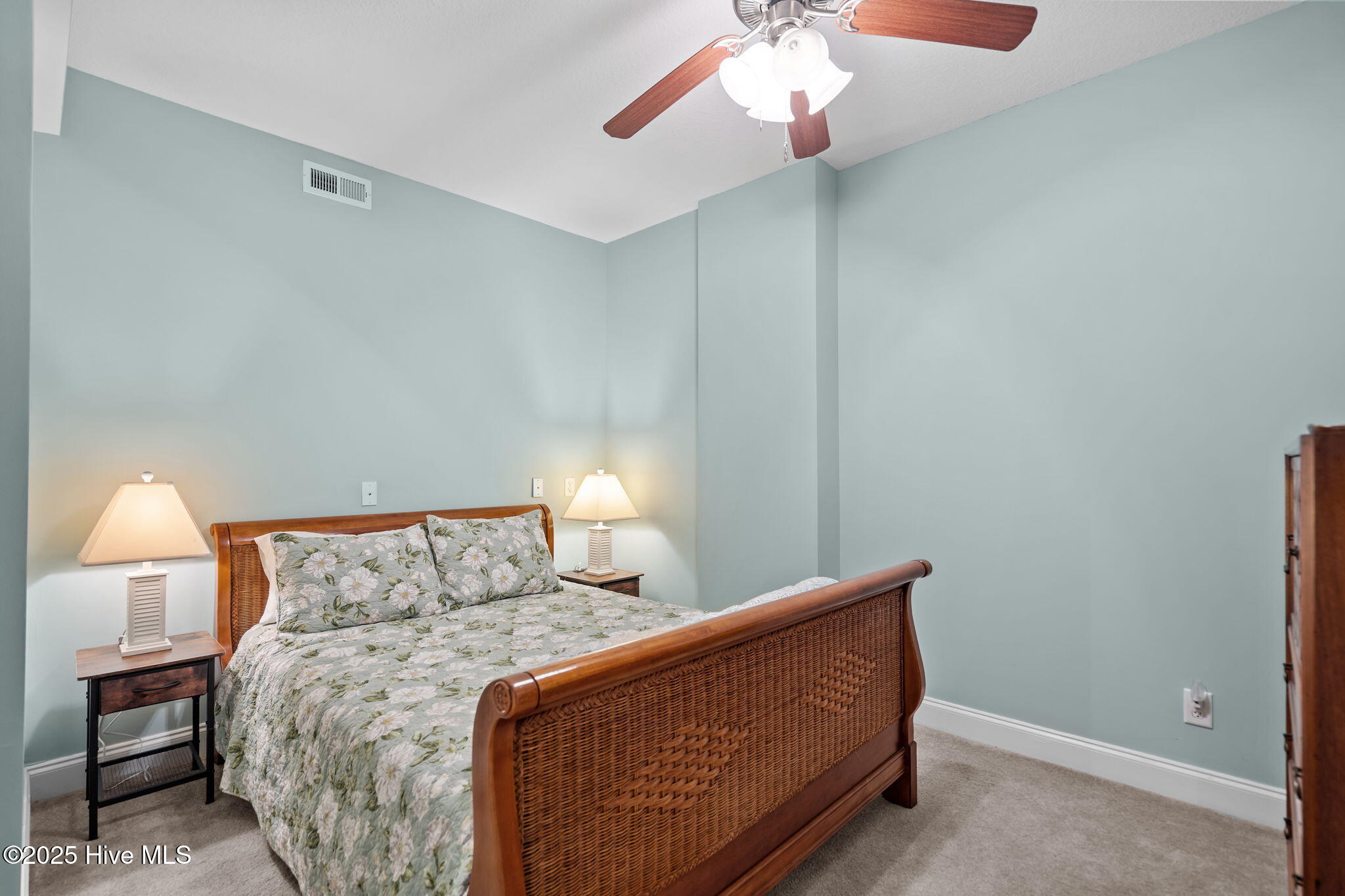 100535787 | Photo 22