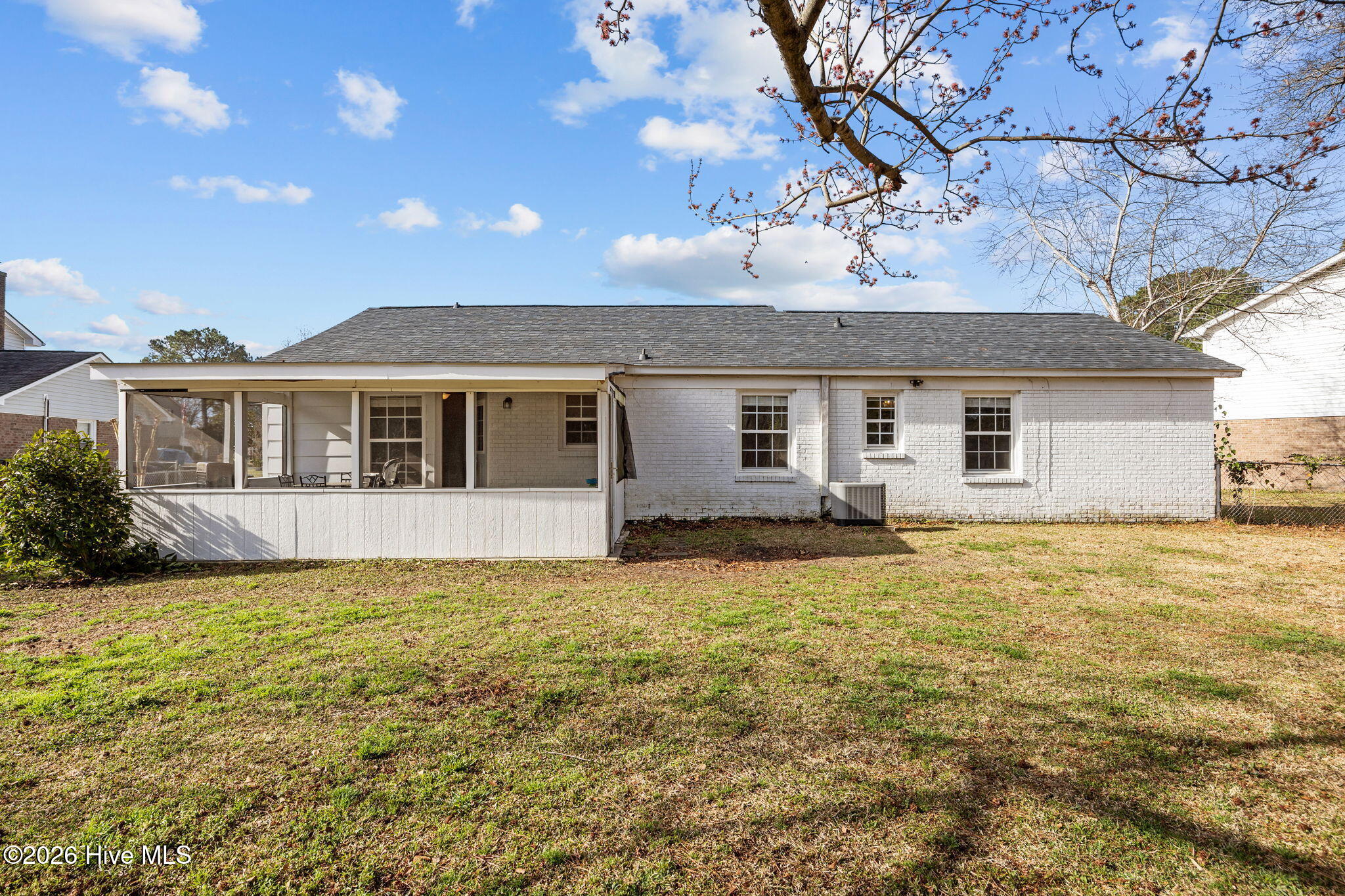 100558764 | Photo 31