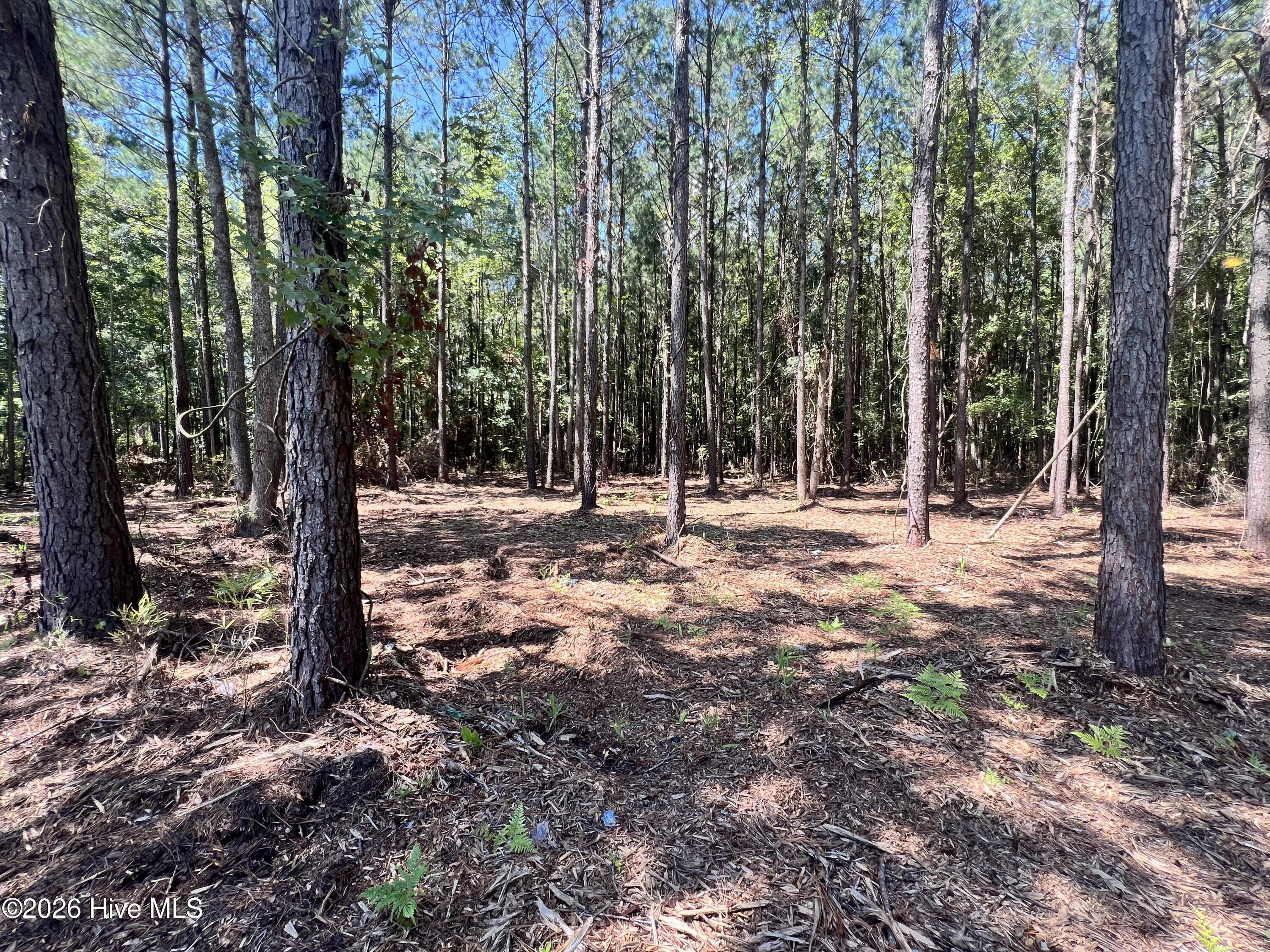 Exterior photo of Lot 3 Elm Street, Belhaven, NC 27810. MLS: 100600172
