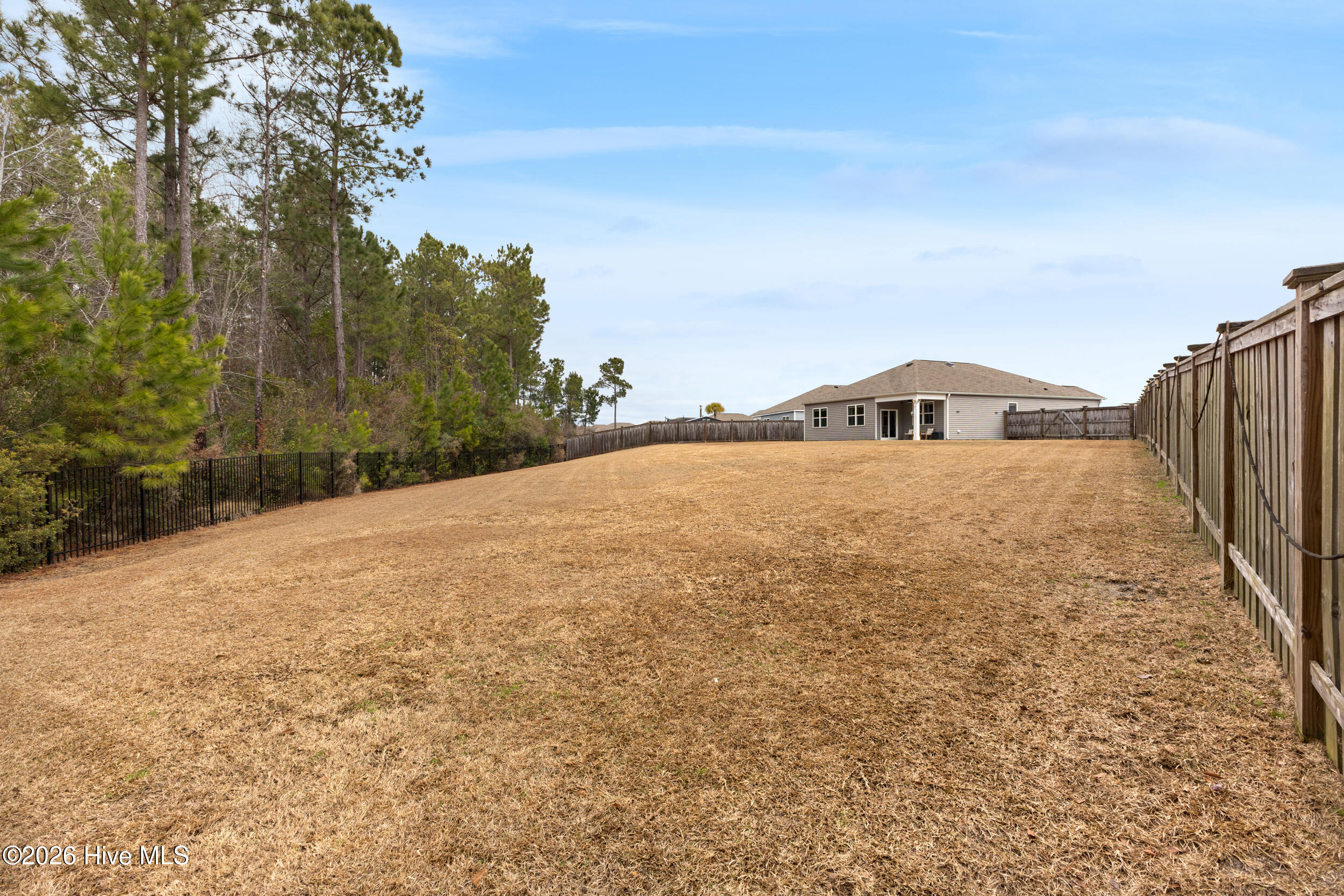 100555223 | Photo 32