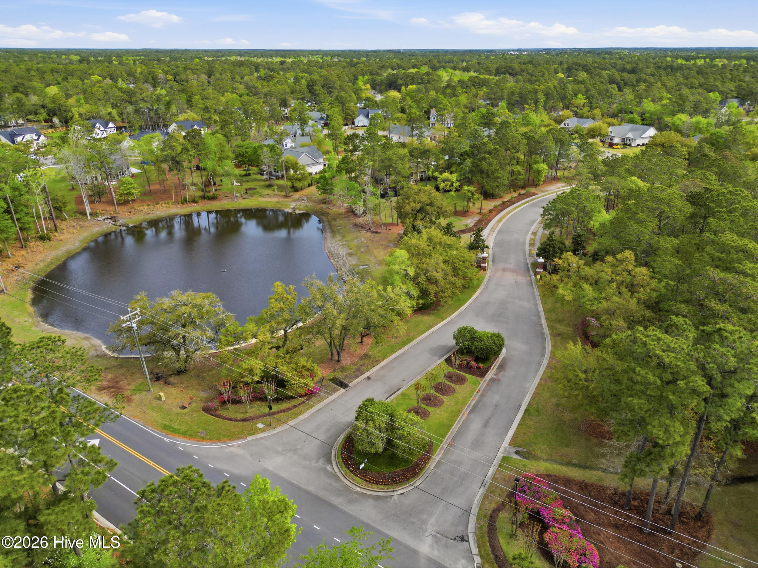 100565388 | Photo 91